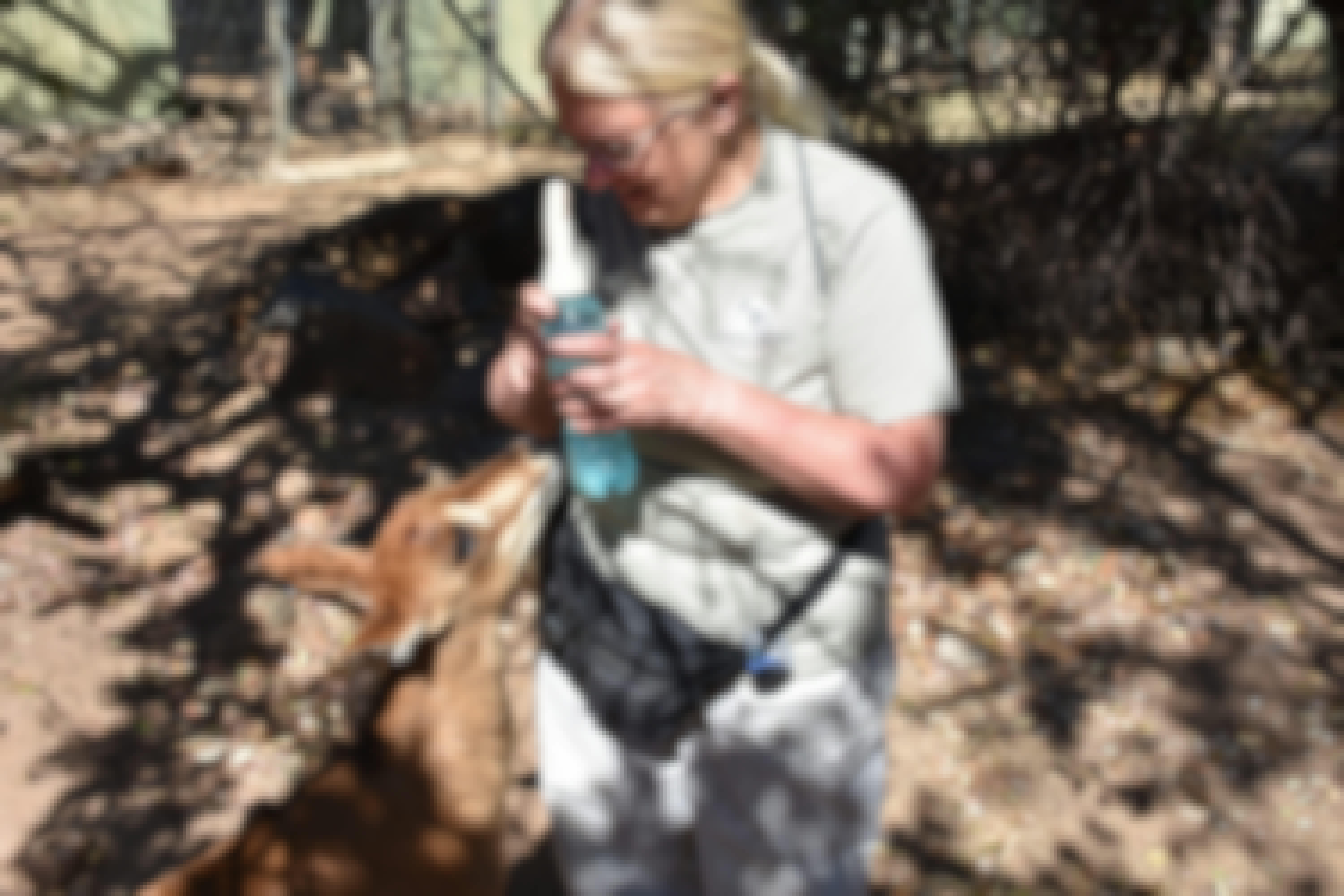 Barbara Merolli: feeding an antelope