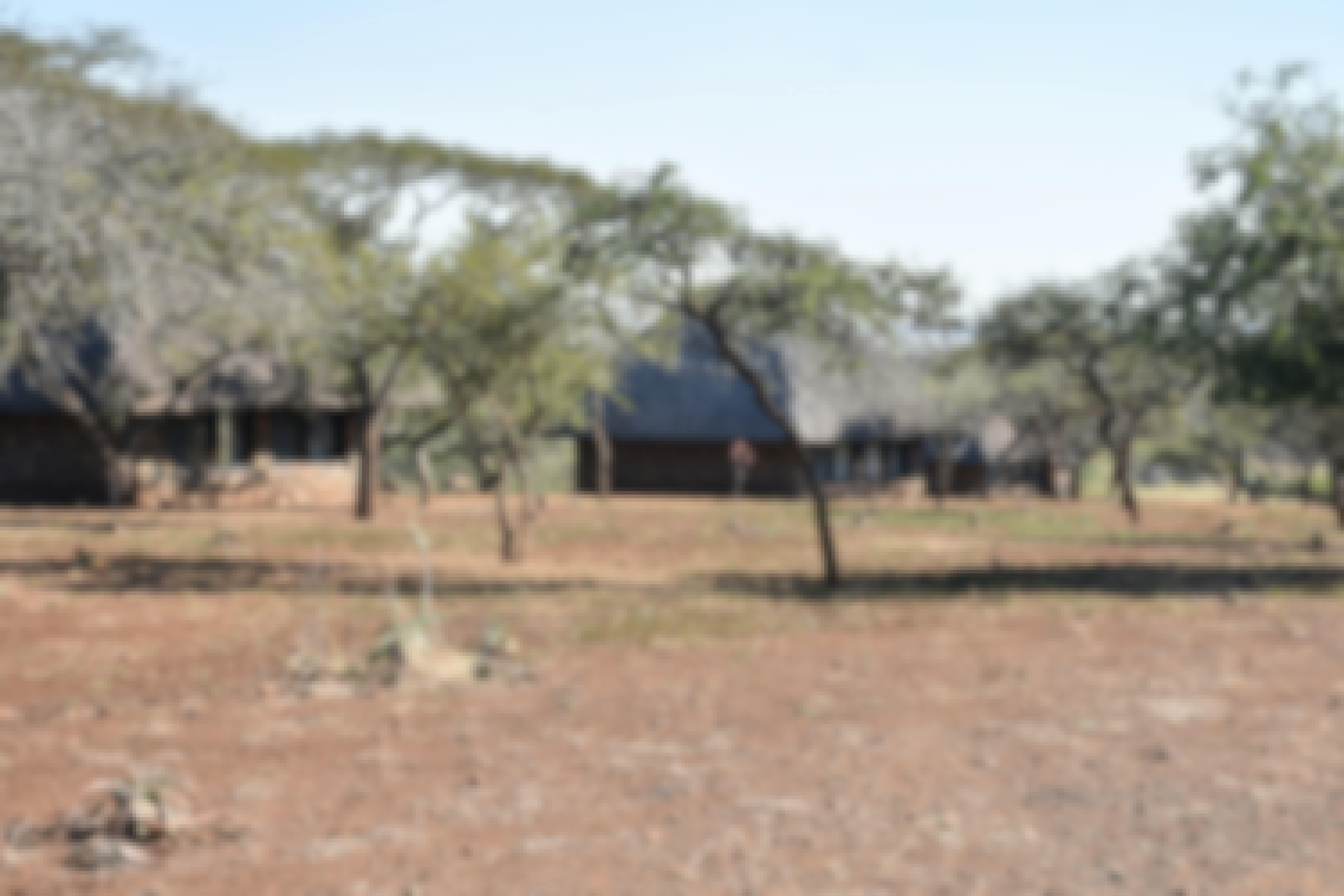 Barbara Merolli: rehabiliation centre