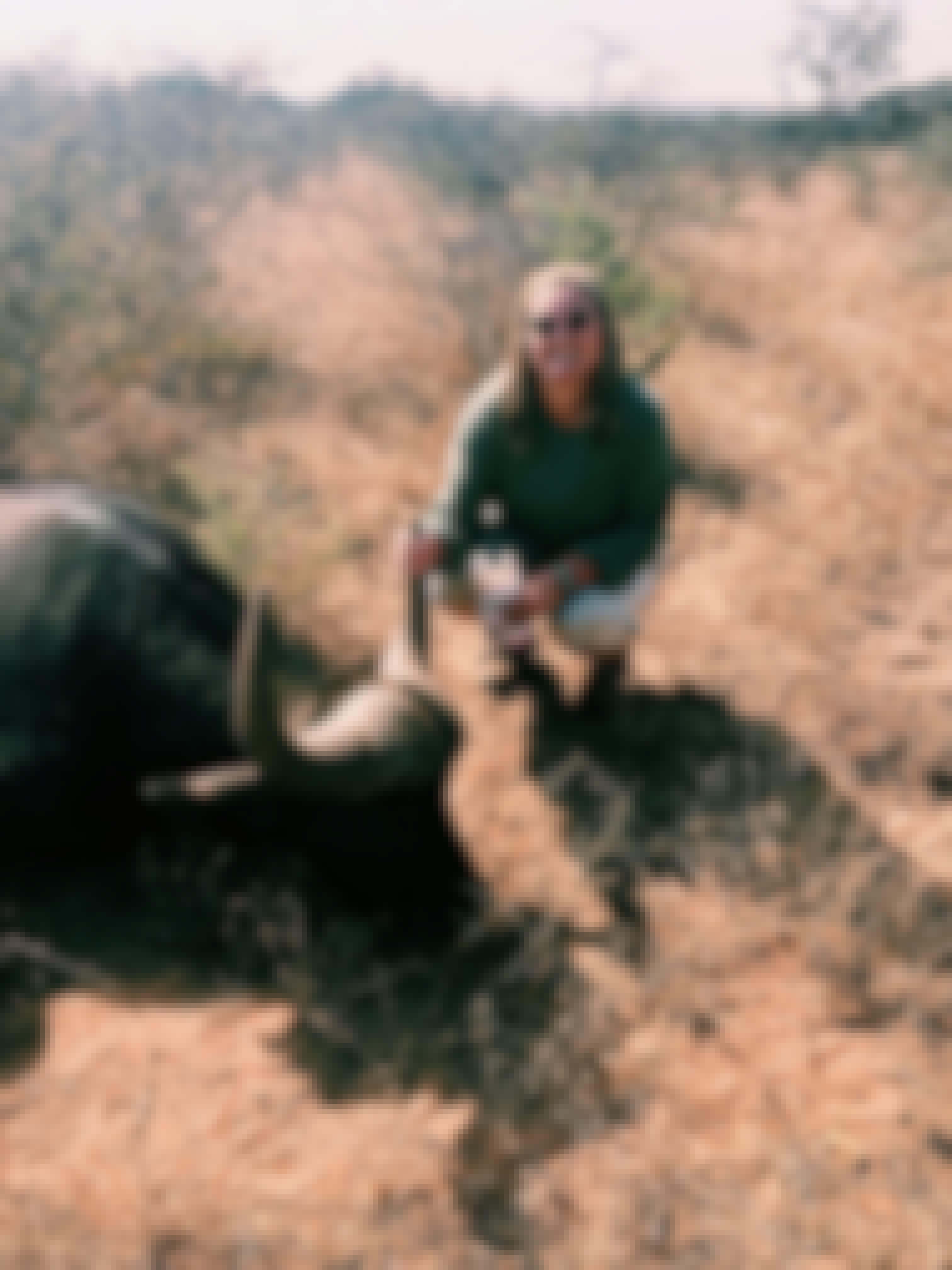 Micaela Chaffin: posing with a sedated buffalo