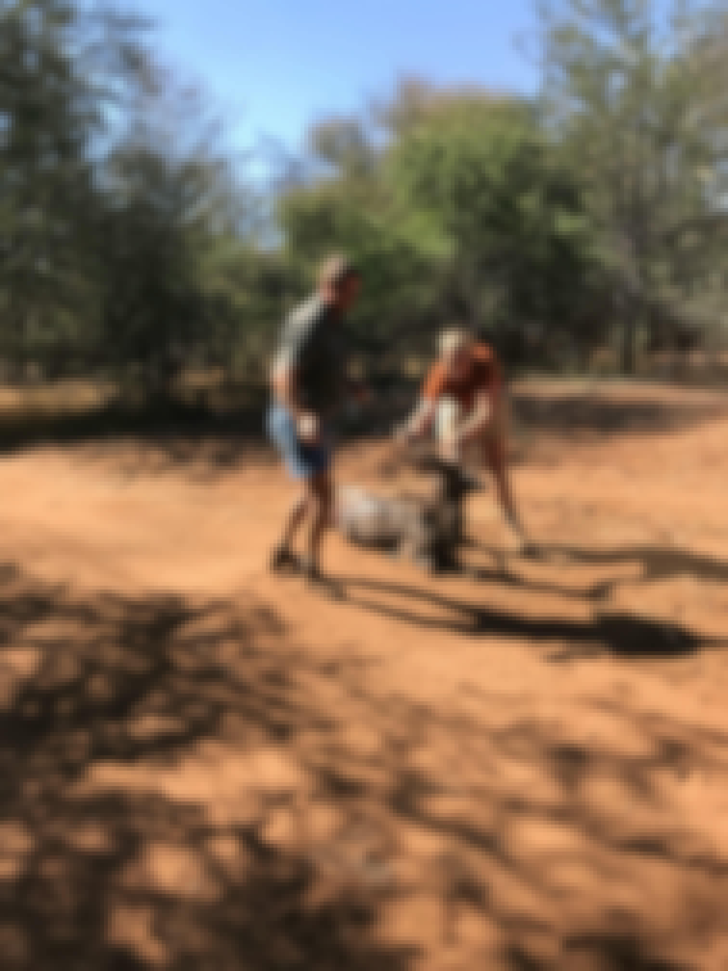 Micaela Chaffin: in the field