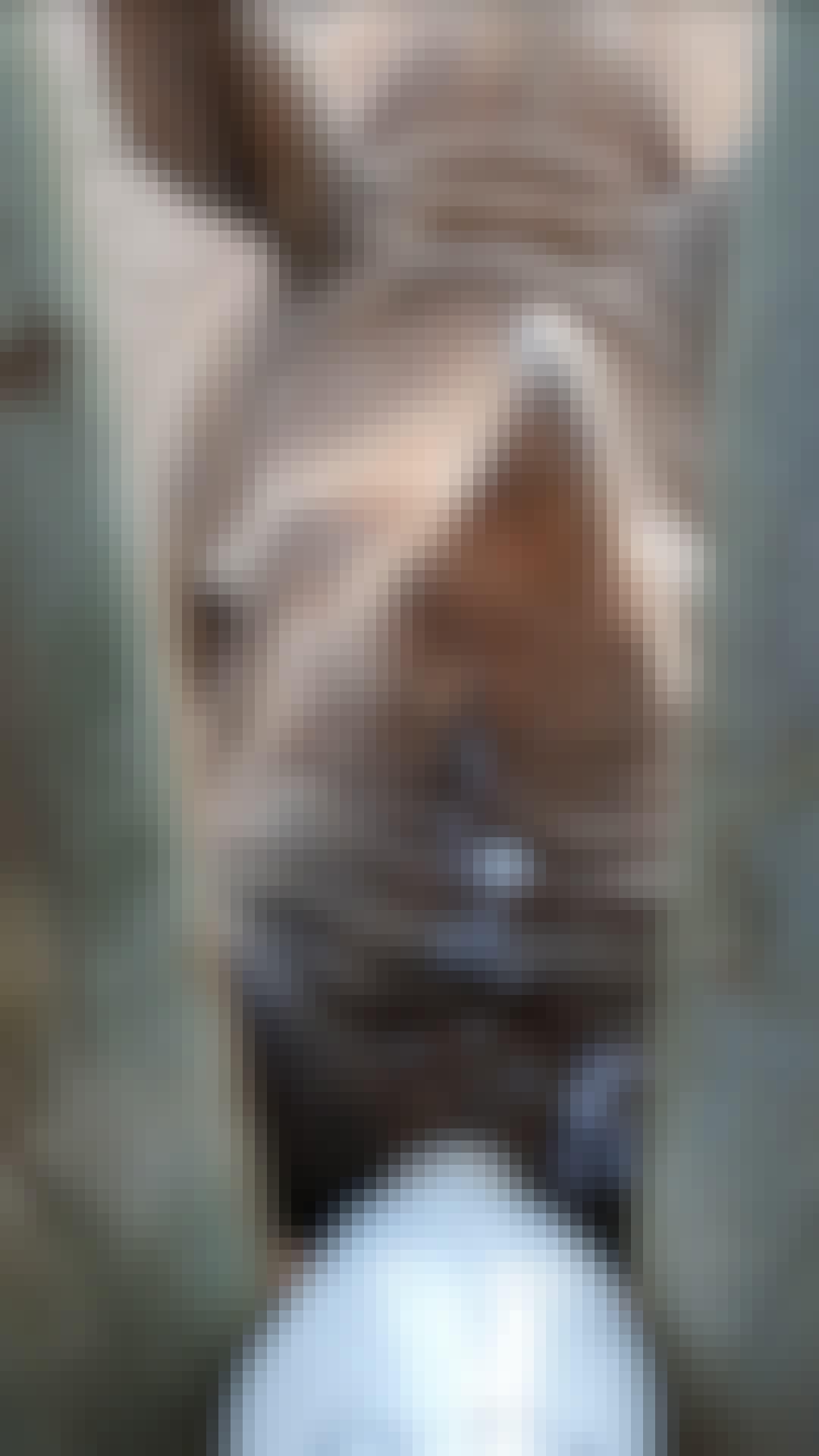 Laura Mullen: bottle feeding a rhino