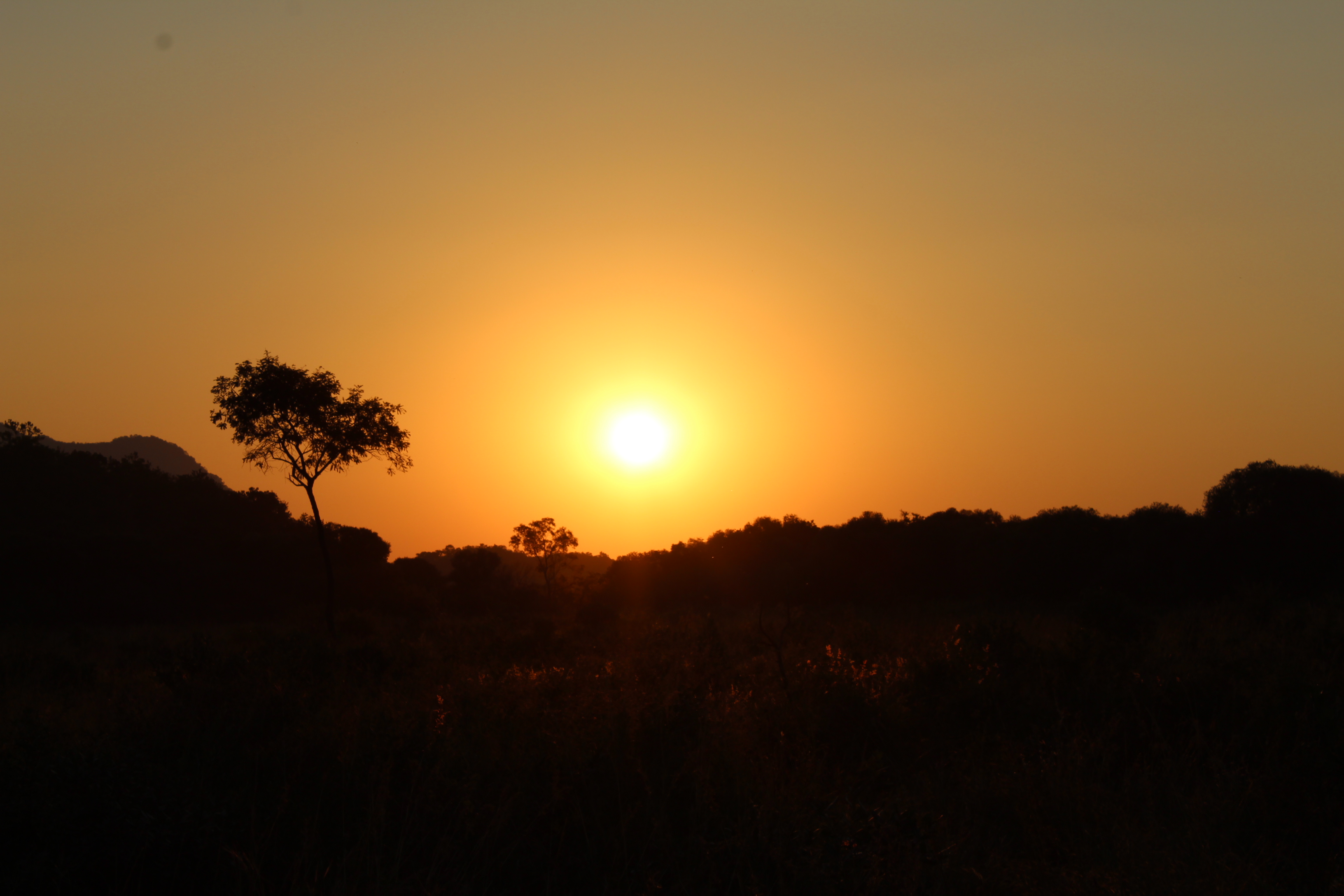 Emma Onyejekwe: sunset photo