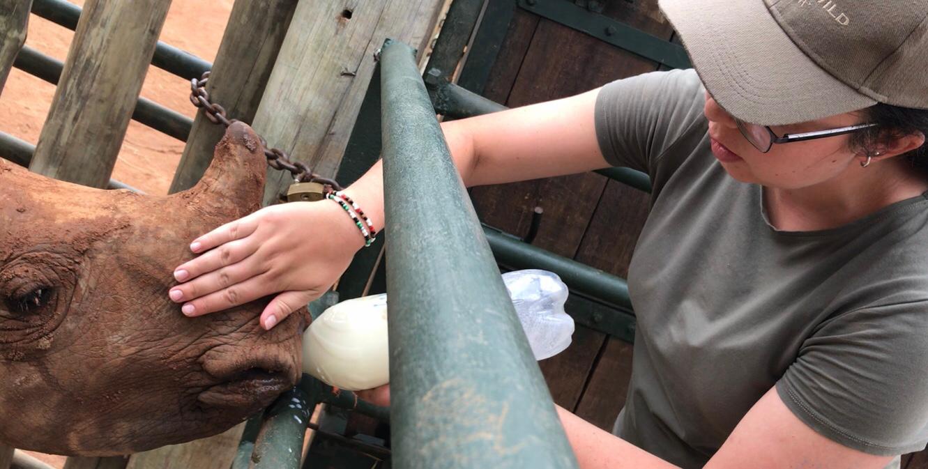Emma Ruggles: bottle feeding a rhino