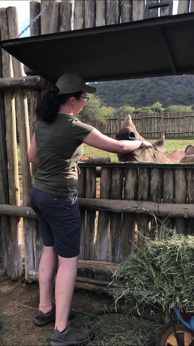 Emma Ruggles: feeding a rhino