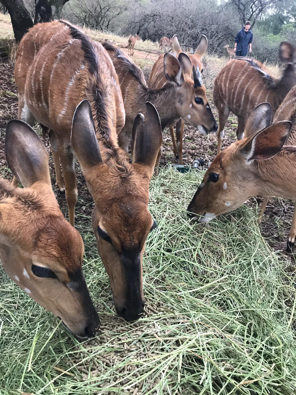 Emma Ruggles: close-up