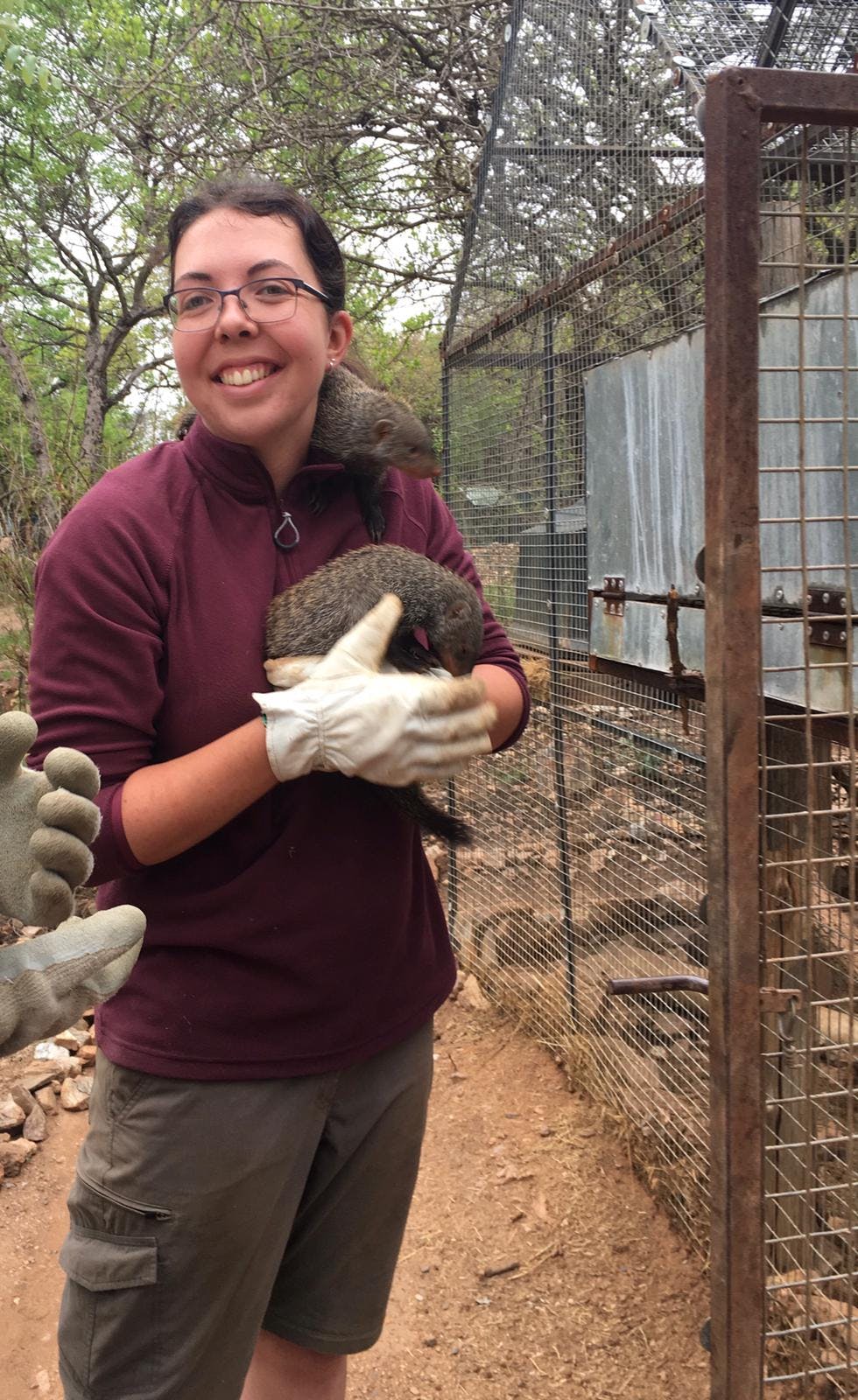 Emma Ruggles: holding animals