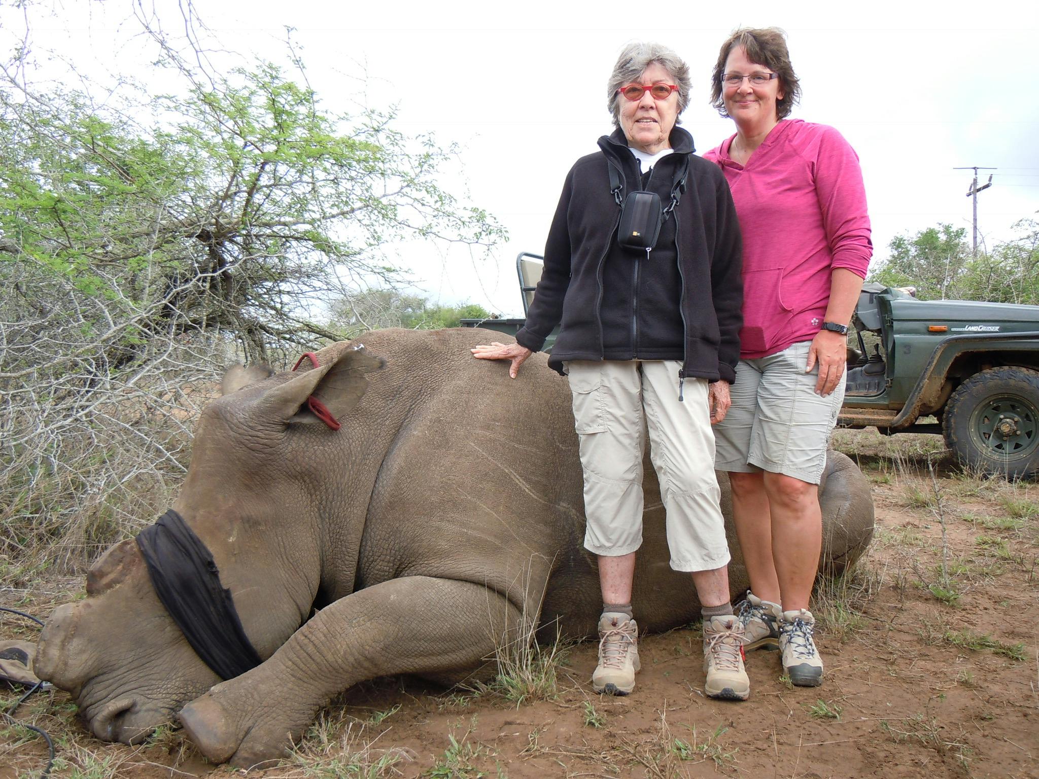 Myriam Istace: posing with a sedated rhino