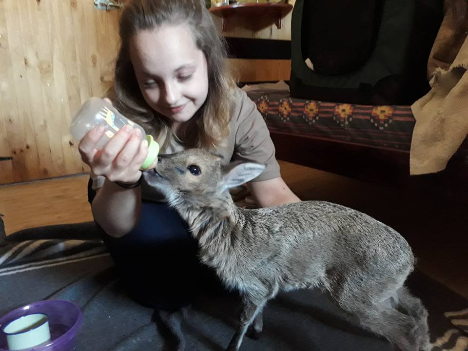 Rebecca Grogan: bottle feeding baby