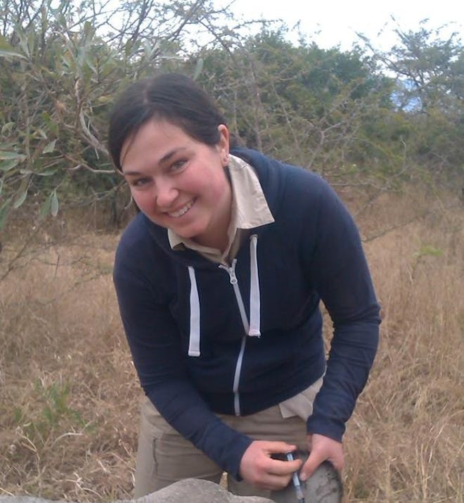 Sophie Gates: injecting a rhino's ear