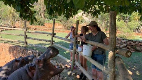 Emma Ruggles: feeding the hippos