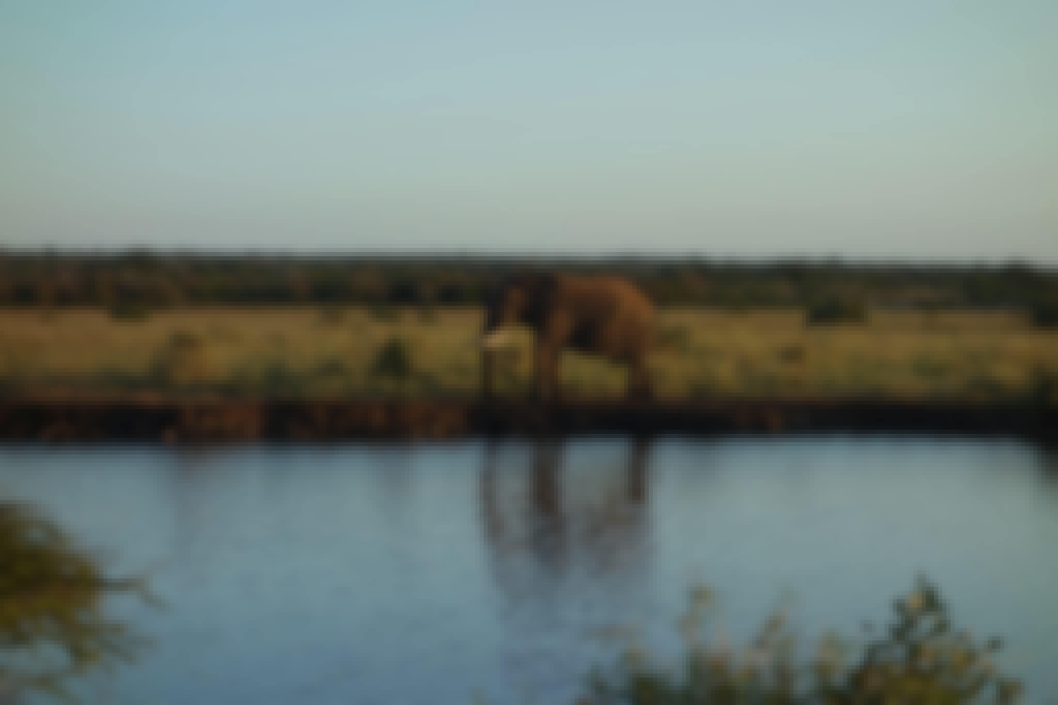 Pierce Kempkes: elephant by the water