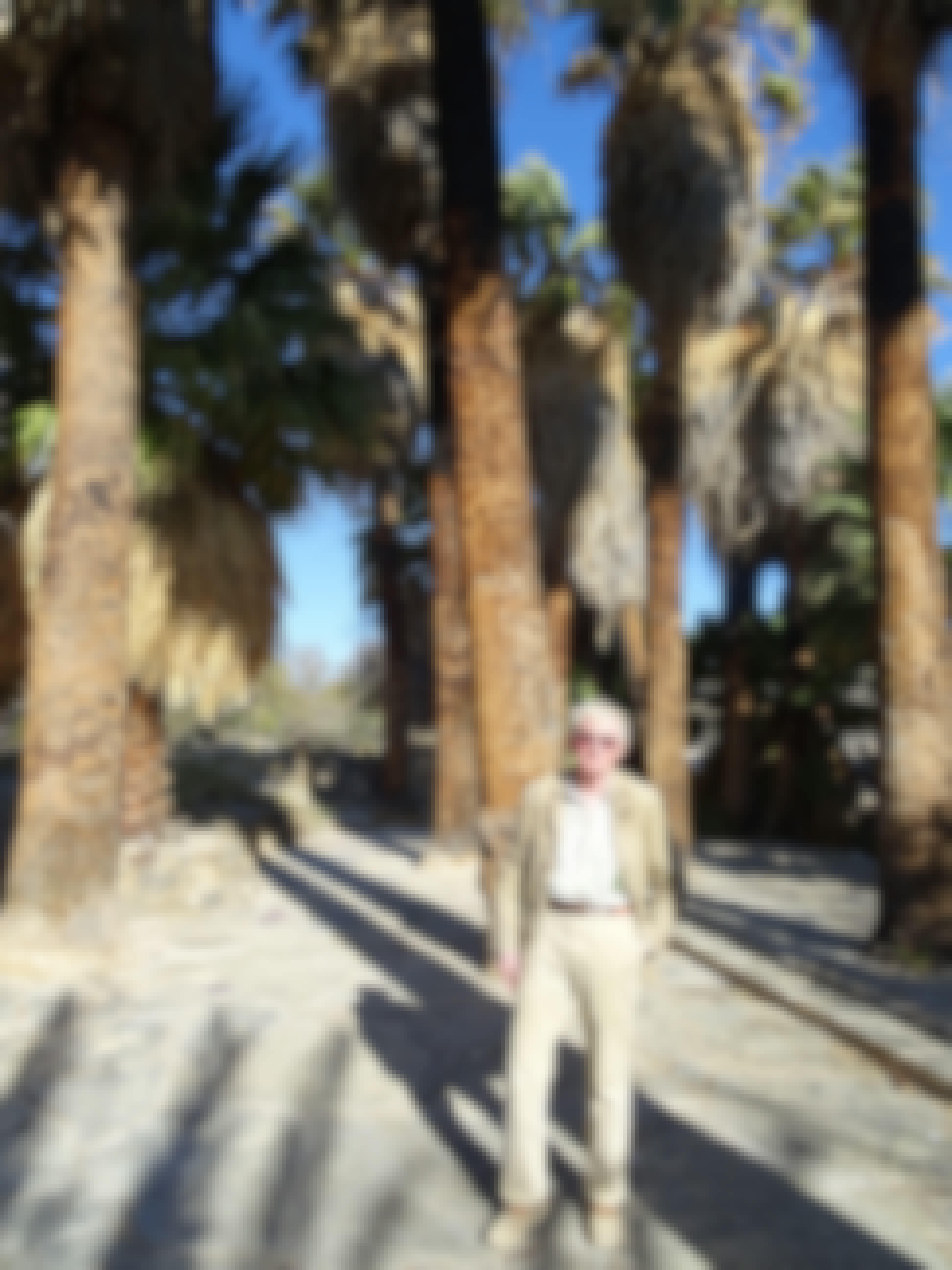Ian Archer: profile photo