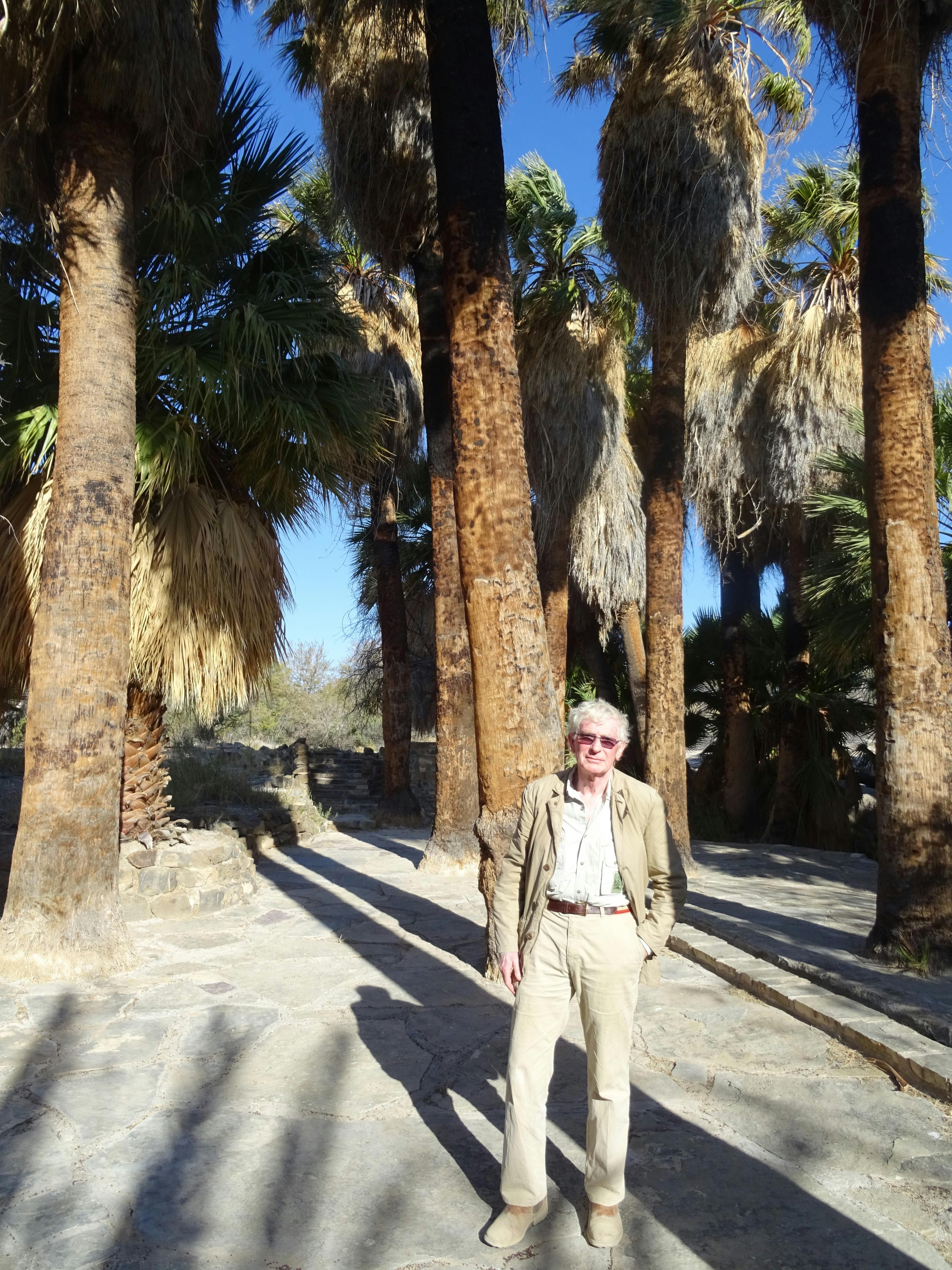 Ian Archer: profile photo
