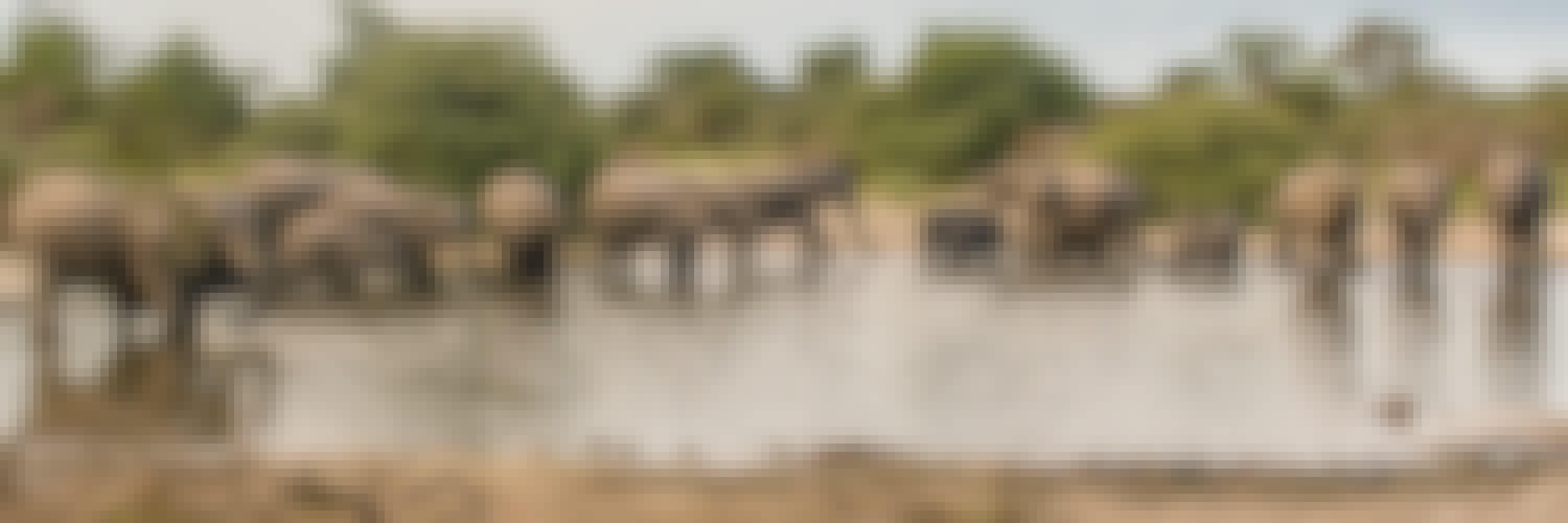 Herd of elephants in the water in the Okavango
