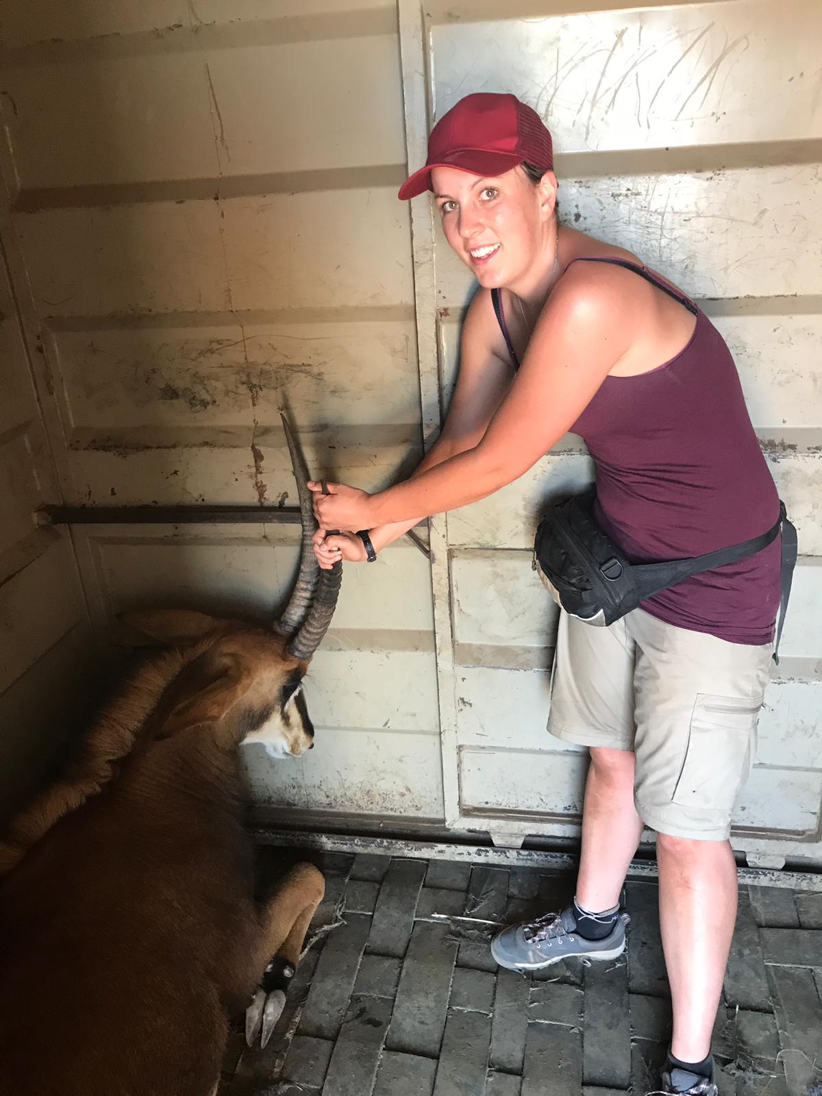 Emma Ruggles: posing with a sedated antelope