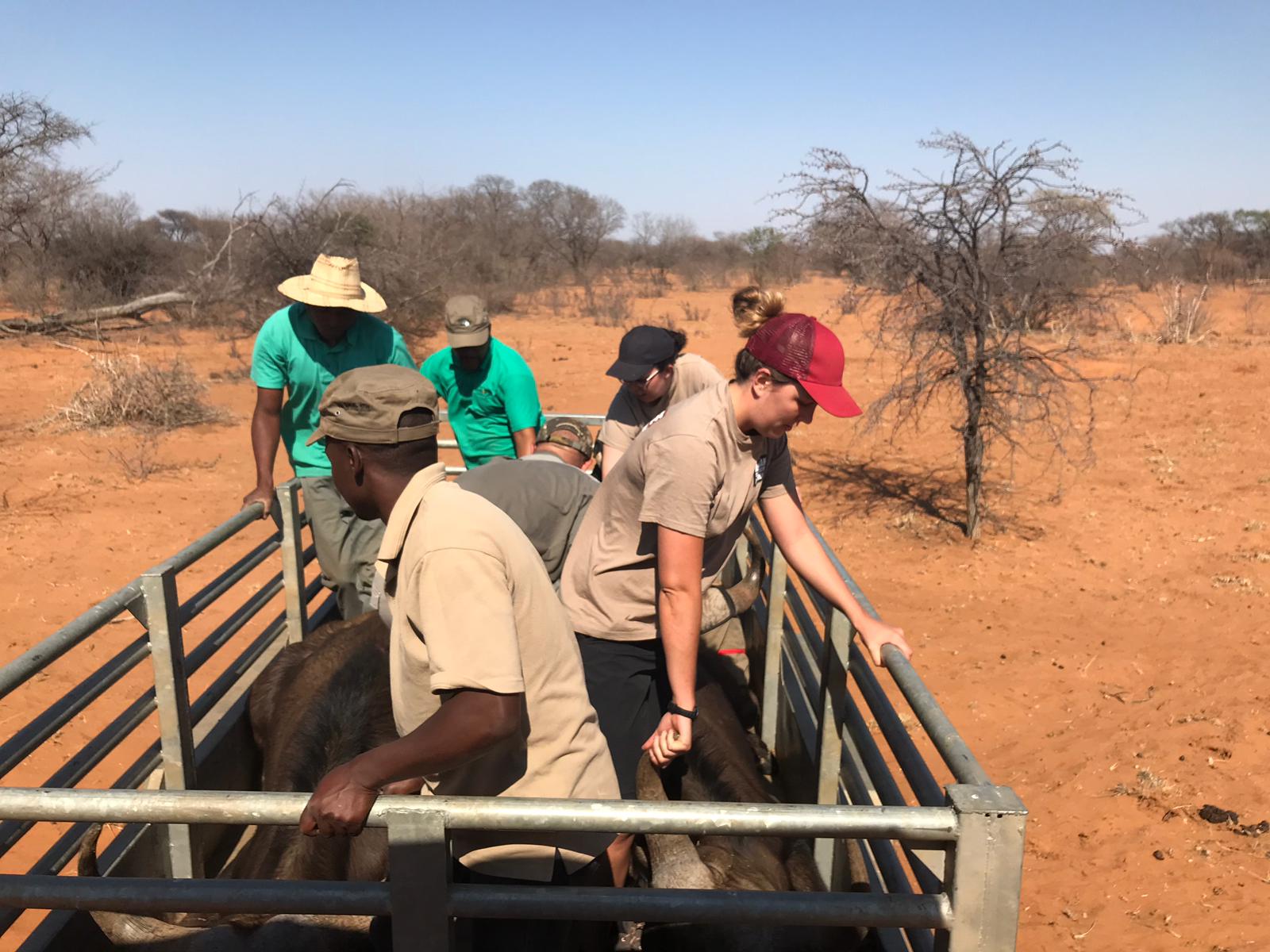 Emma Ruggles: in the field, game capture