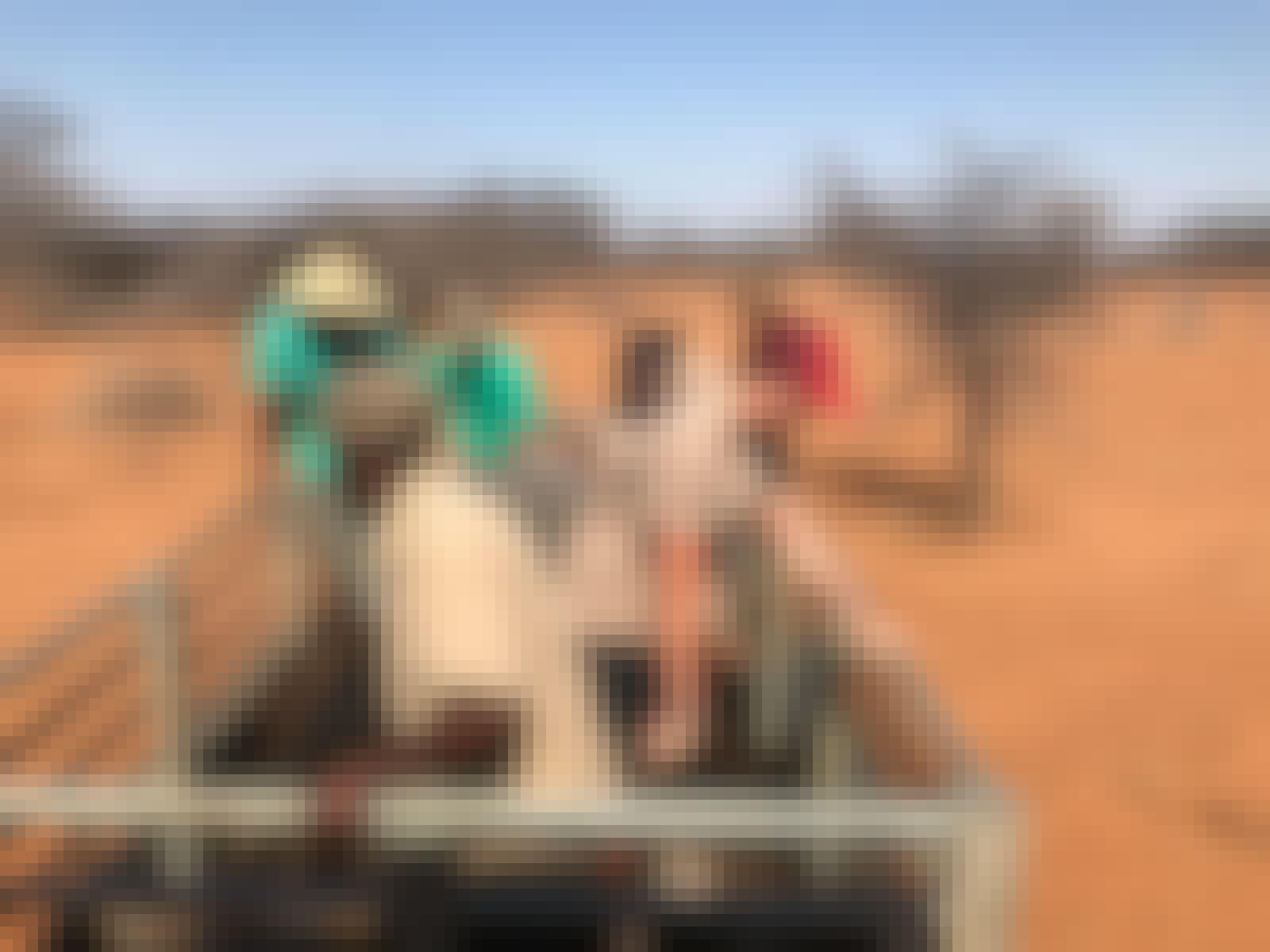 Emma Ruggles: in the field, game capture