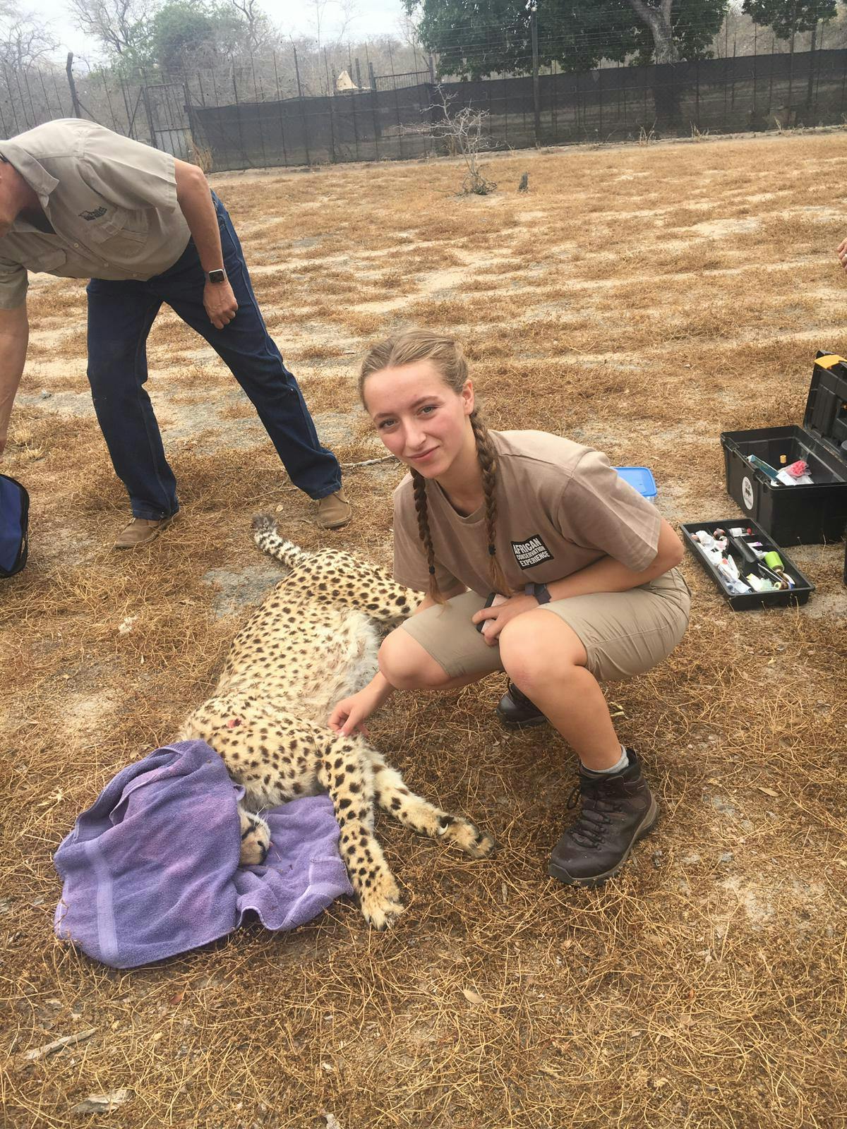 Emily Guinane: posing with sedated cheetah