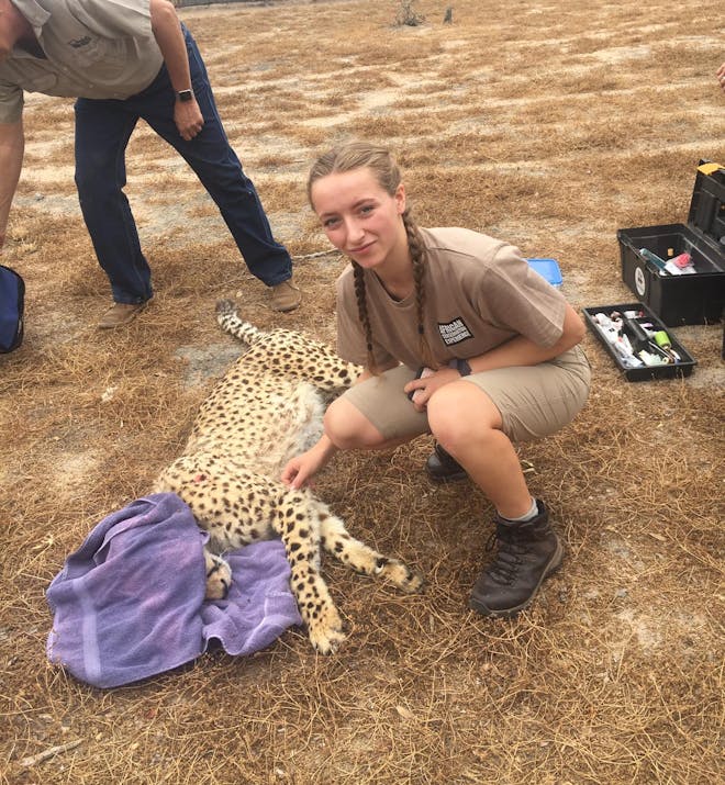 Emily Guinane: posing with sedated cheetah