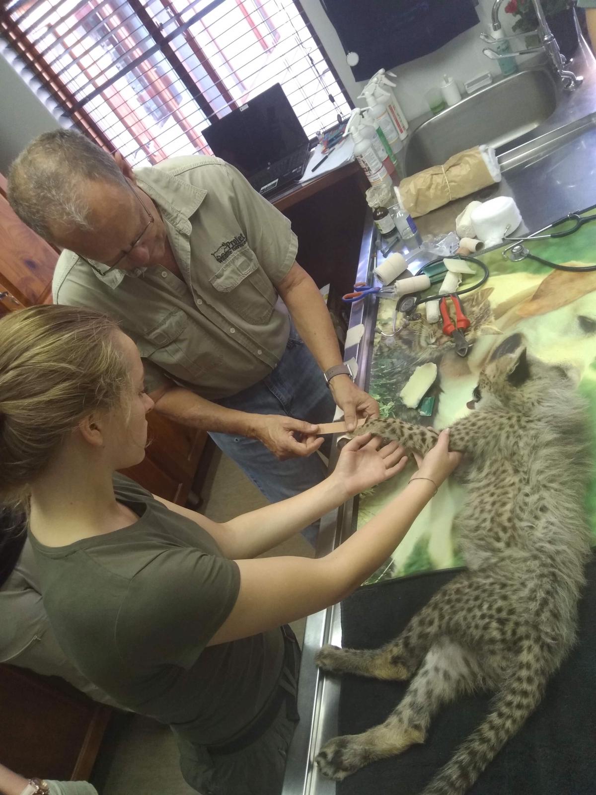 Emily Guinane: in the clinic