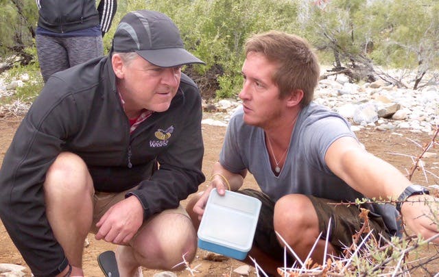David Lawrence and Sue Allen: studying tracks