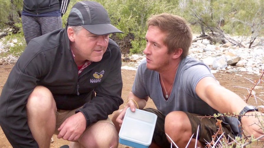 David Lawrence and Sue Allen: studying tracks
