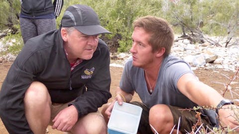 David Lawrence and Sue Allen: studying tracks