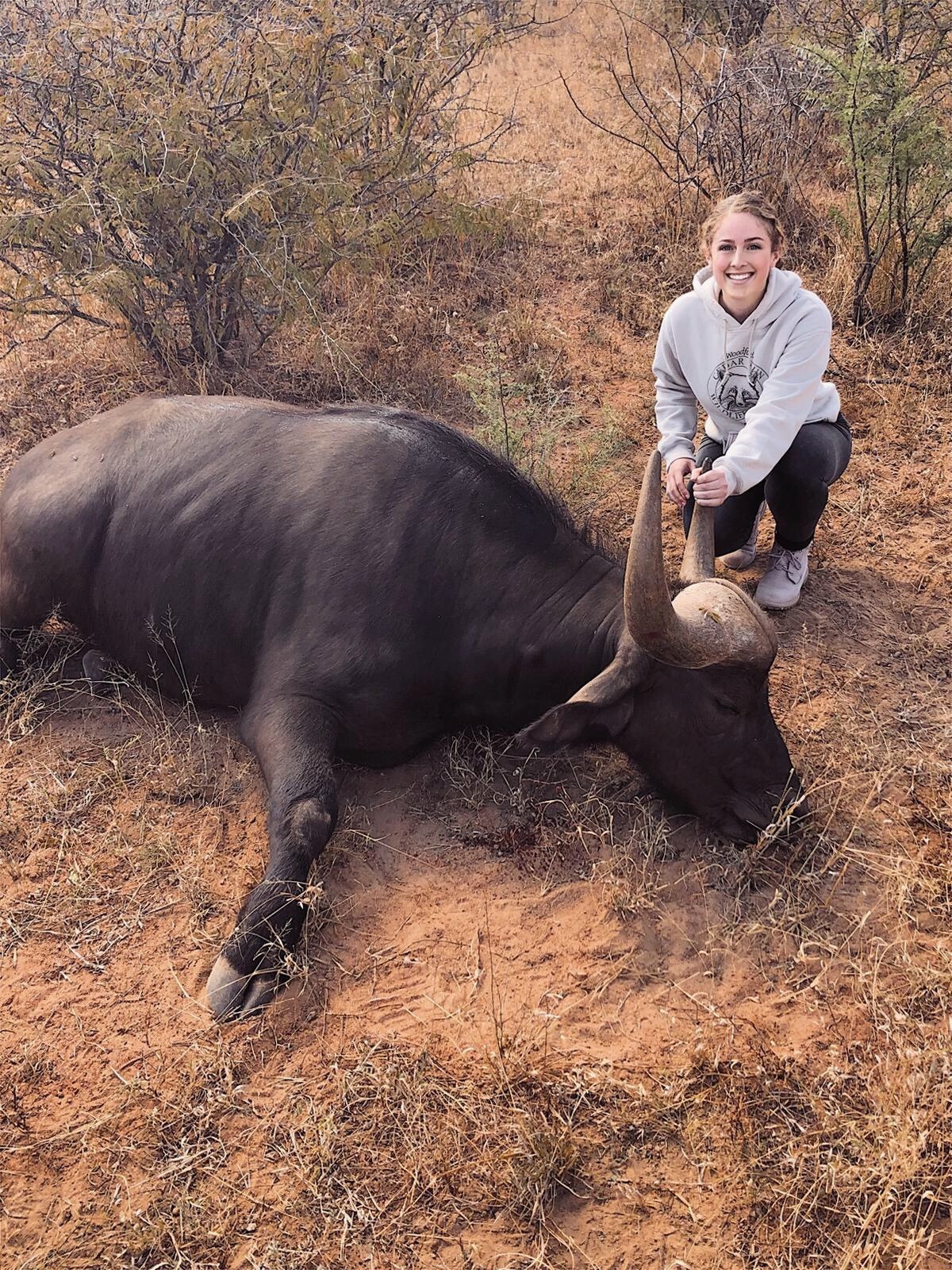 Nicolette Madonna: posing with sedated buffalo