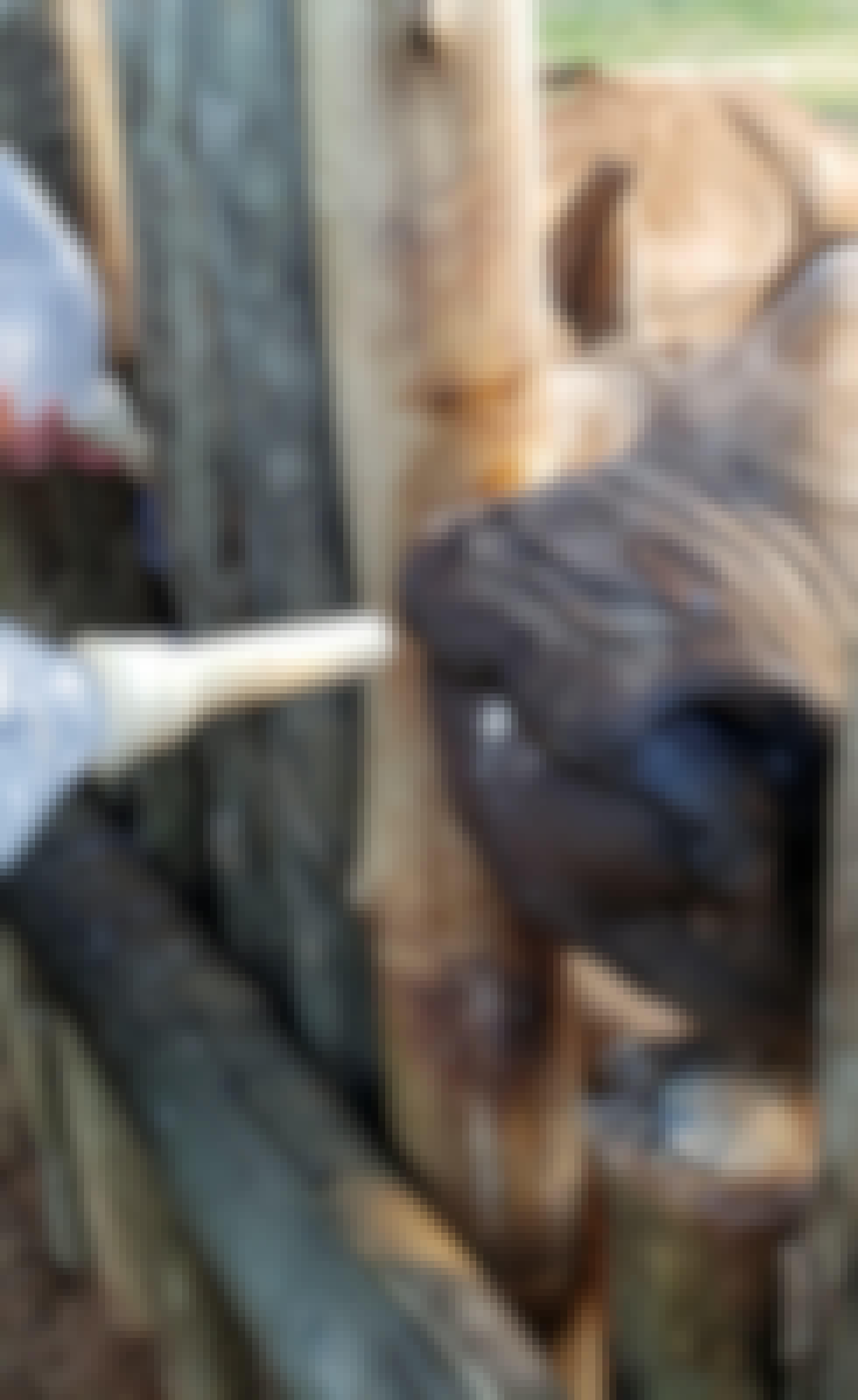 Carol Krieger and Geoffrey Neate: bottle feeding a rhino