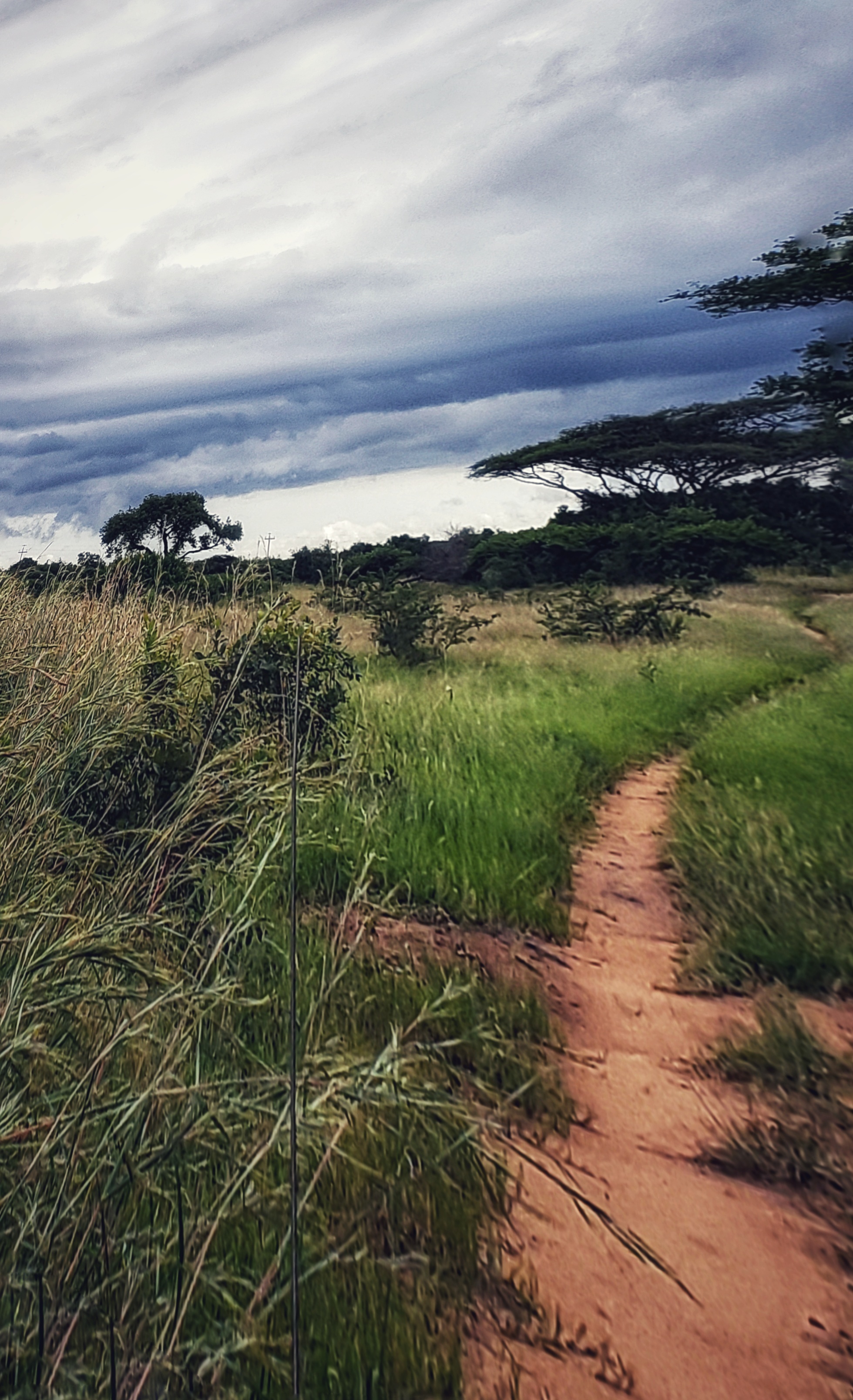 Carol Krieger and Geoffrey Neate: landscape