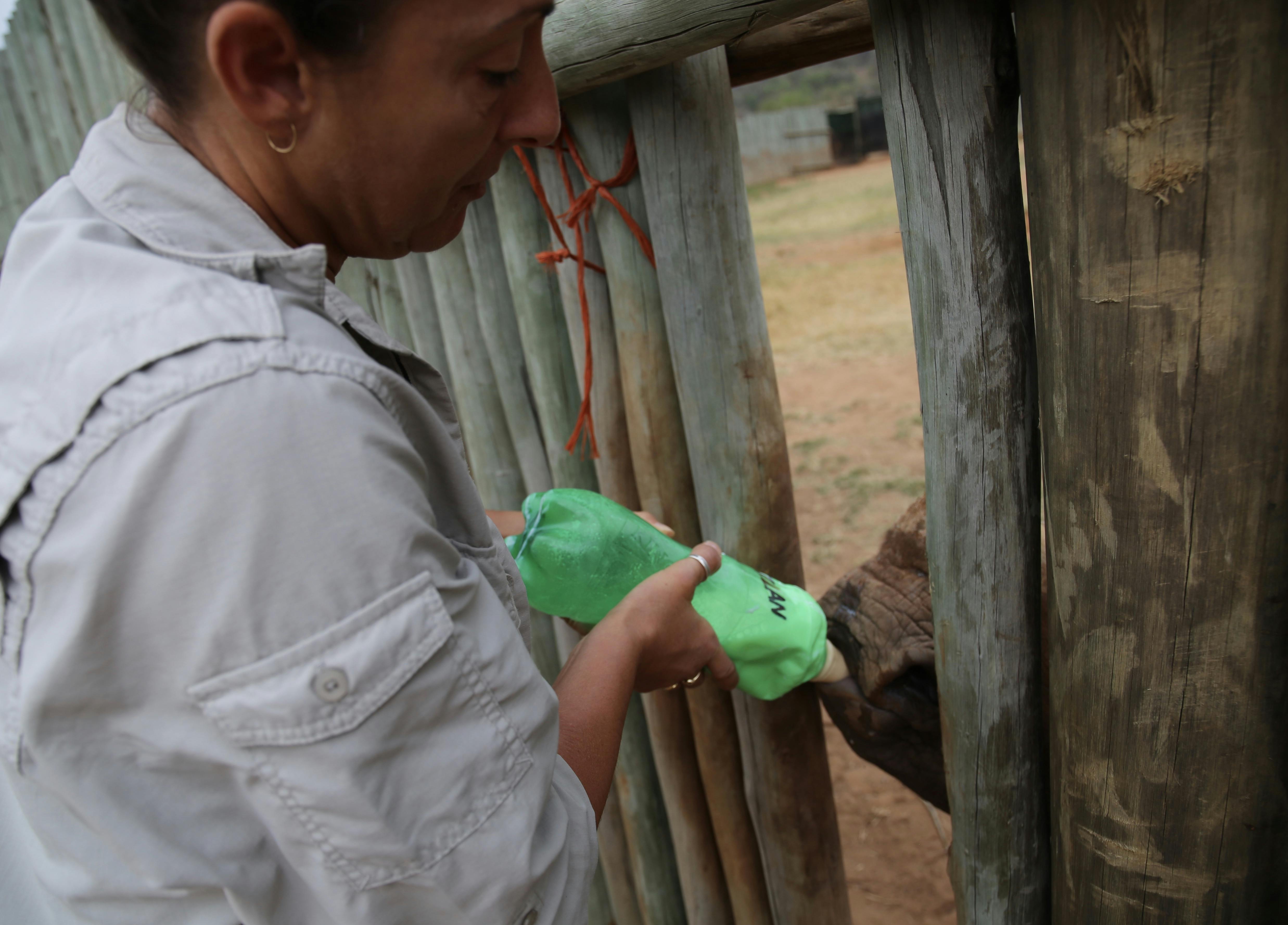Martin and Julie While: Julie bottle feeding a baby rhino at Care for Wild
