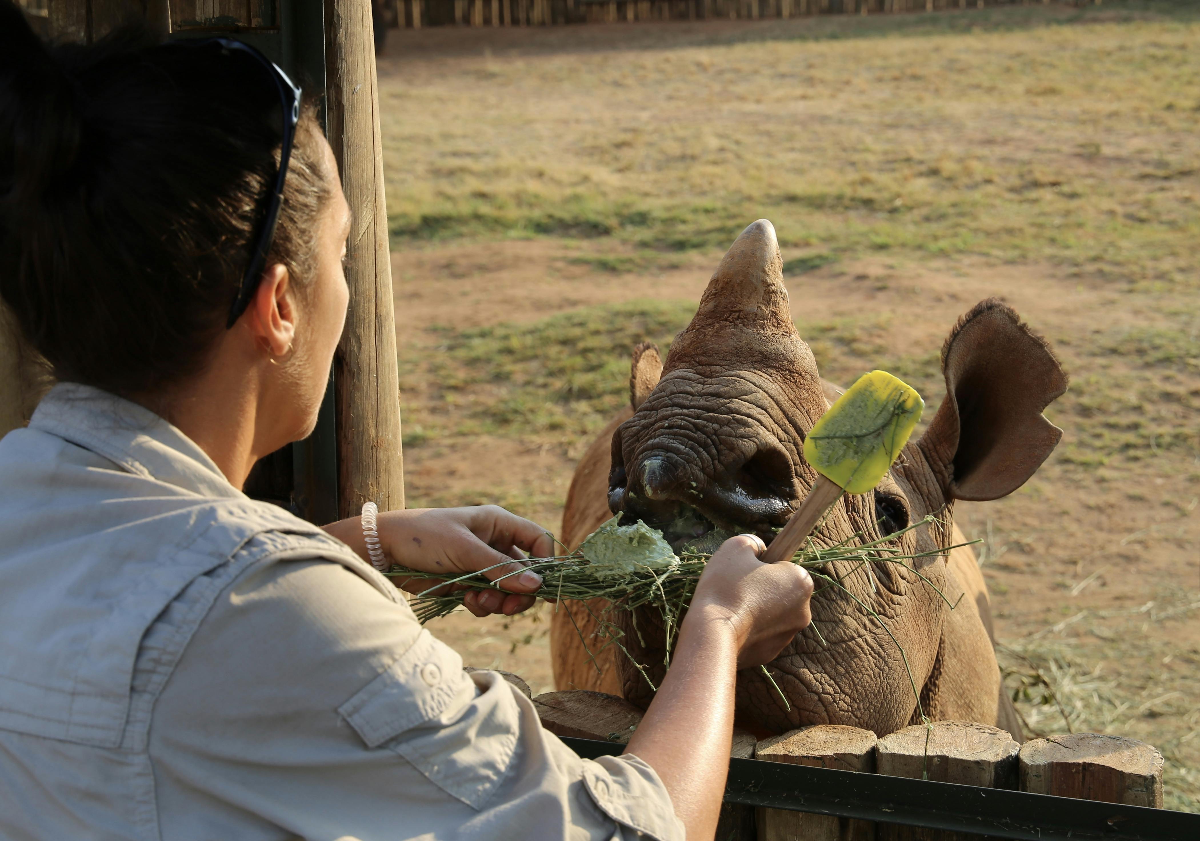 Martin and Julie While: Julie feeding a baby rhino at Care for Wild