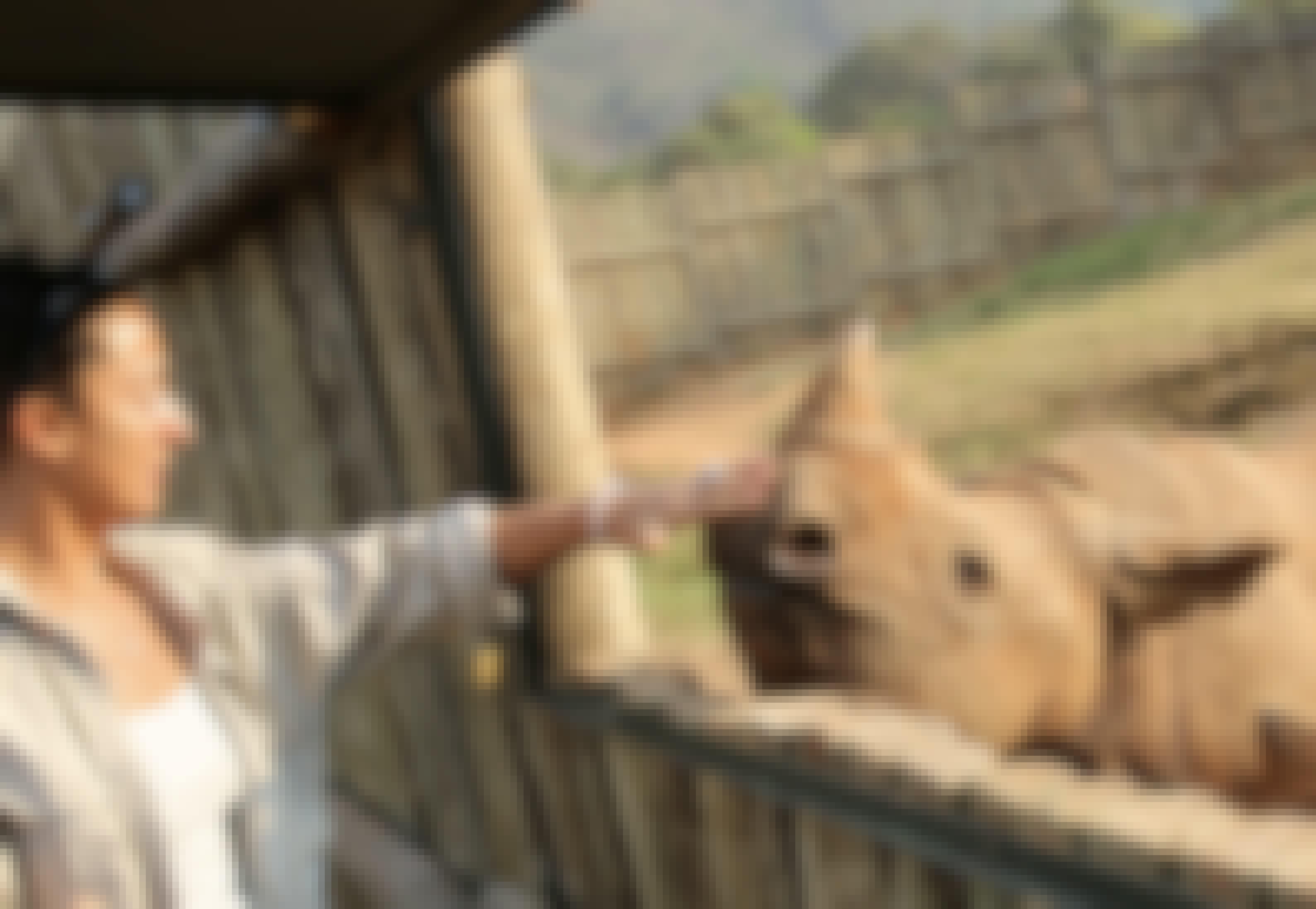 Martin and Julie While: Julie touching a rhino at Care for Wild