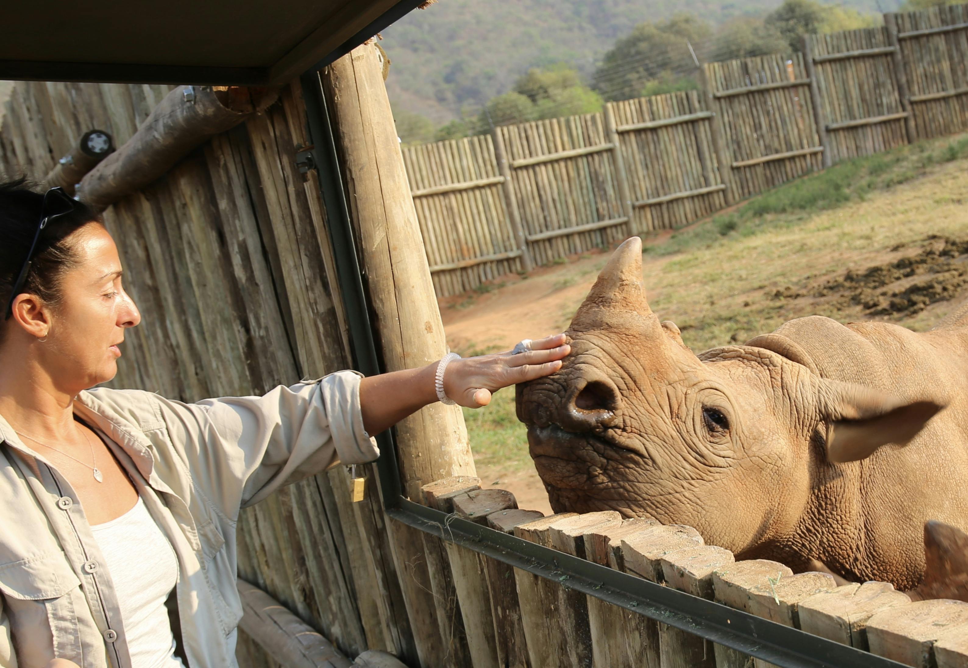 Martin and Julie While: Julie touching a rhino at Care for Wild
