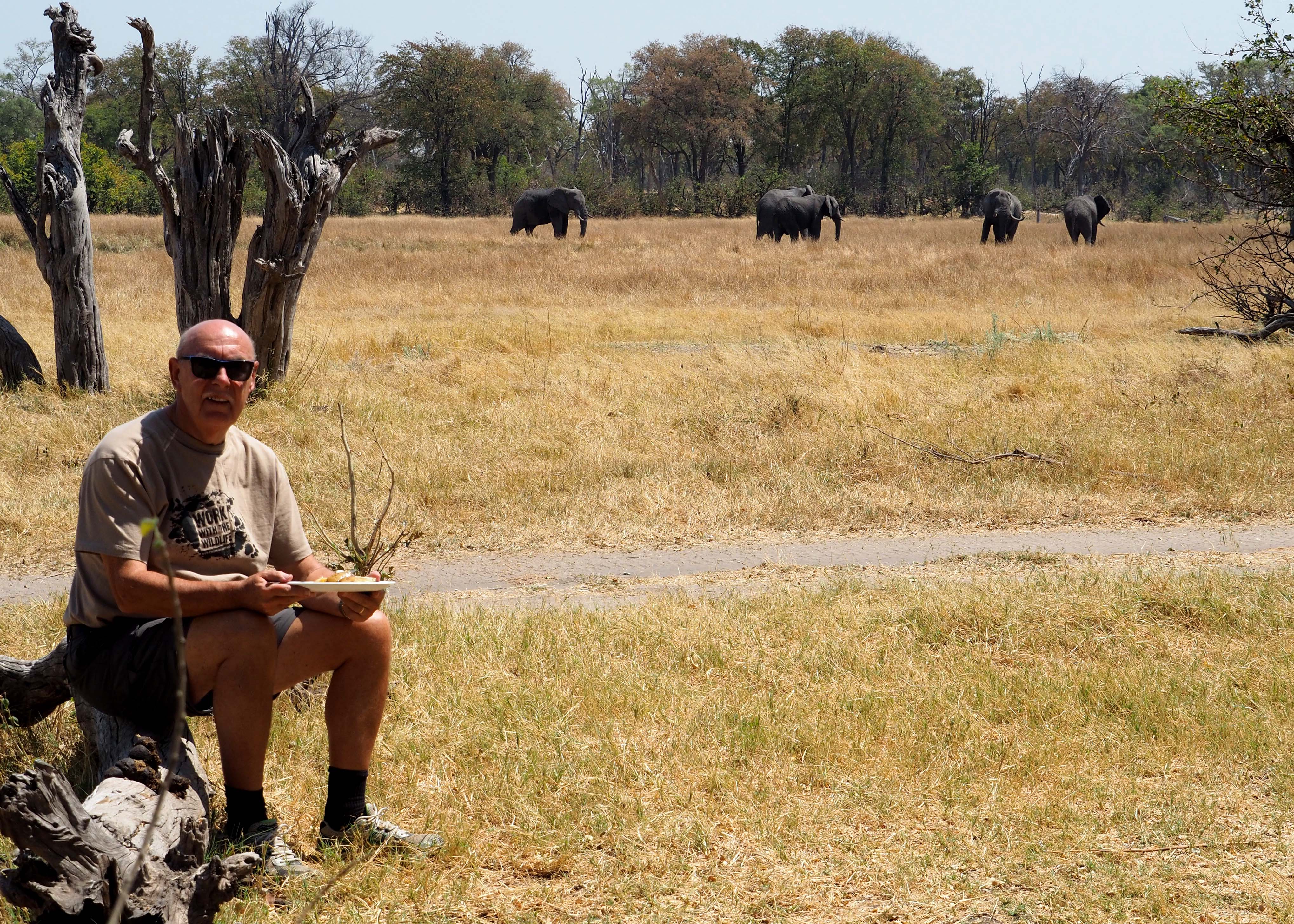 Maurice Tallantyre: relaxing with elephants in the background
