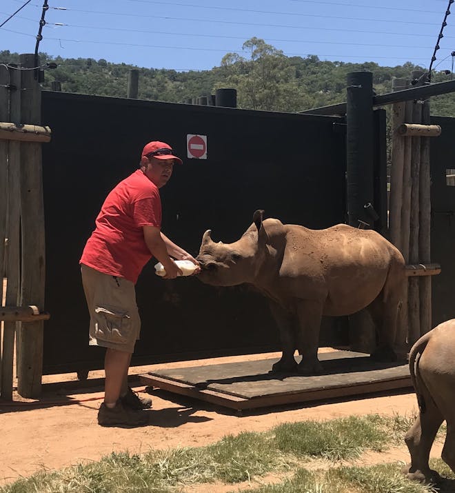 Mario Gabusi: bottle feeding a baby rhino