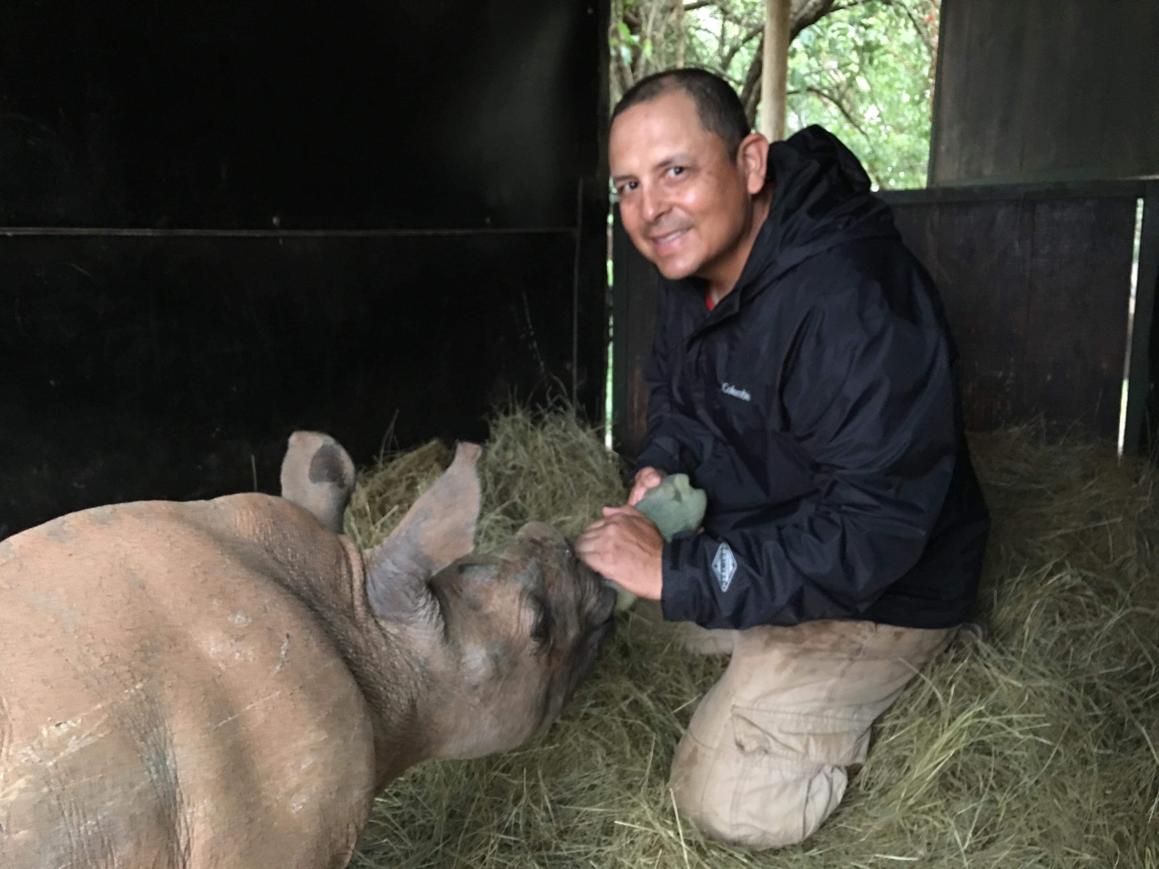 Mario Gabusi: bottle feeding a baby rhino