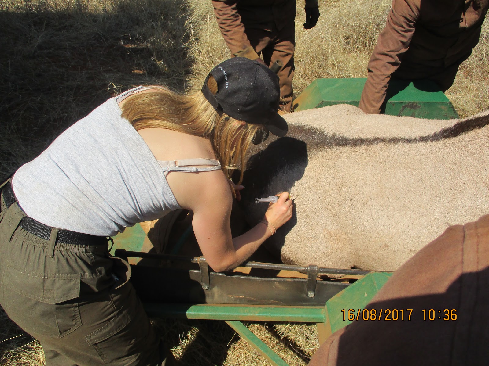 Georgina Courage: profile