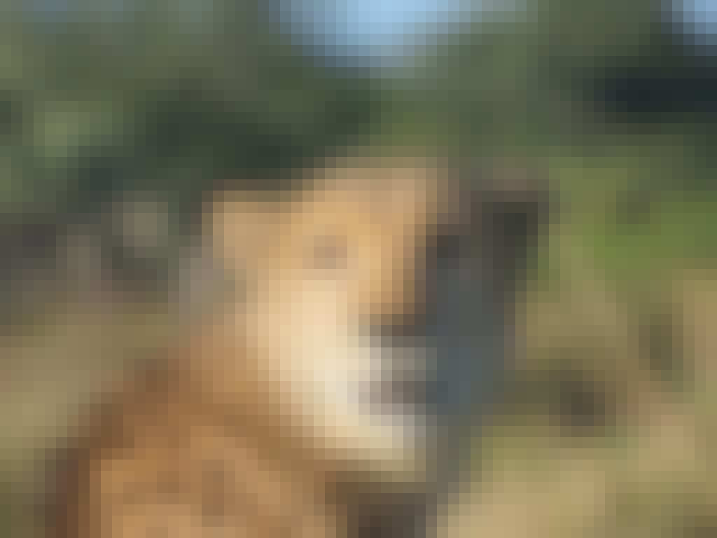 Gabby: Close-up 