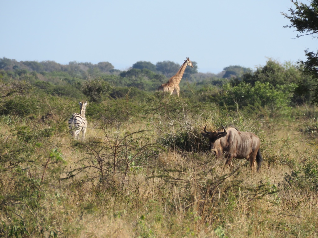 Gabby: Landscape photo