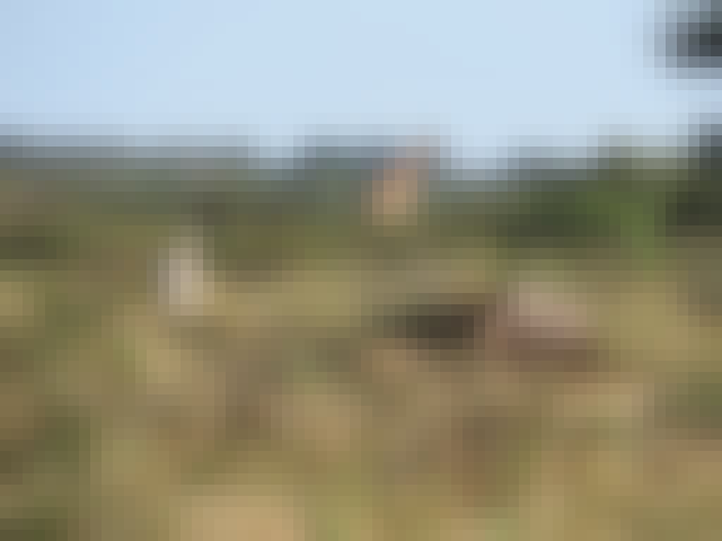 Gabby: Landscape photo