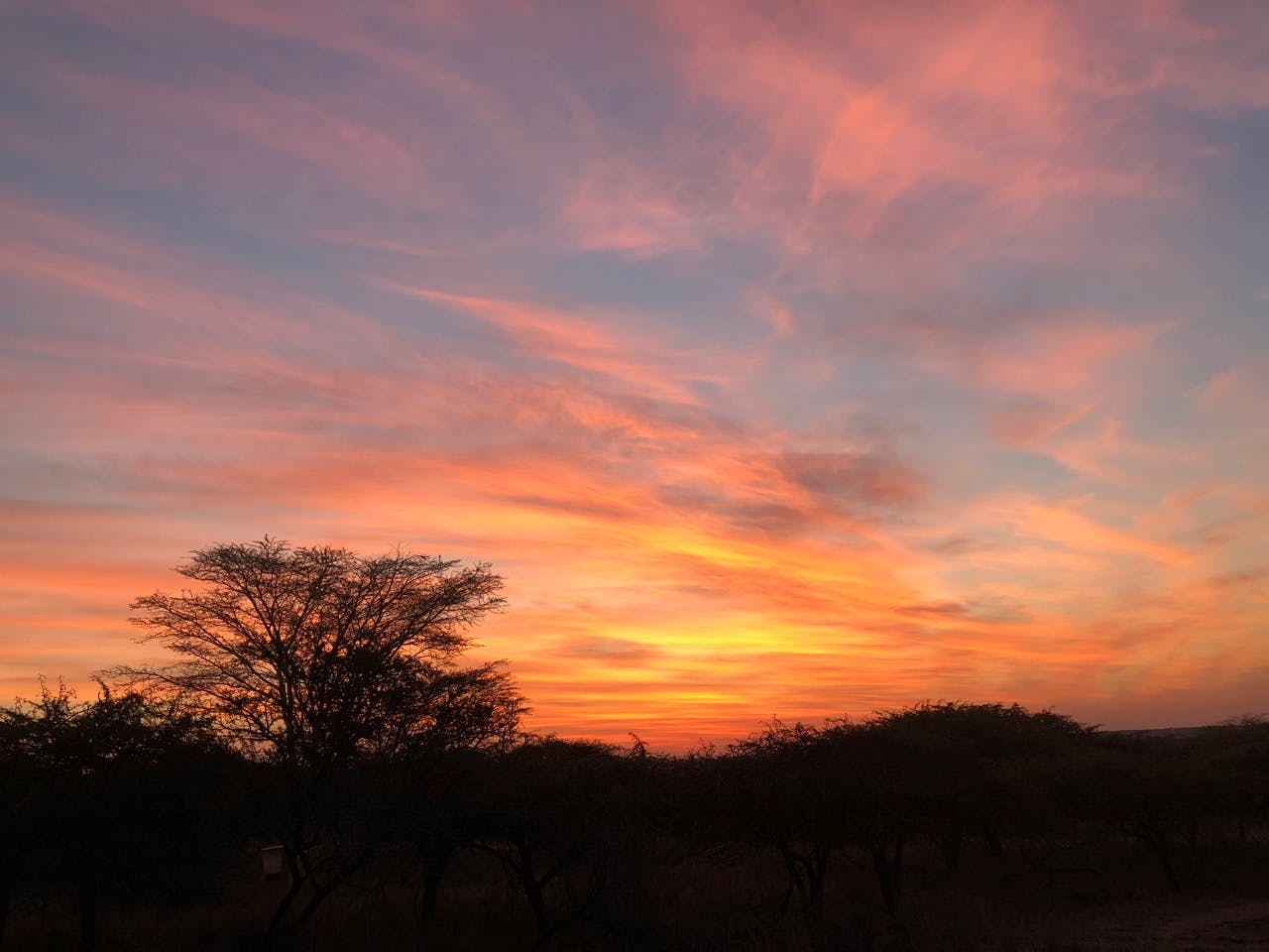 Gabby: Red sky sunset