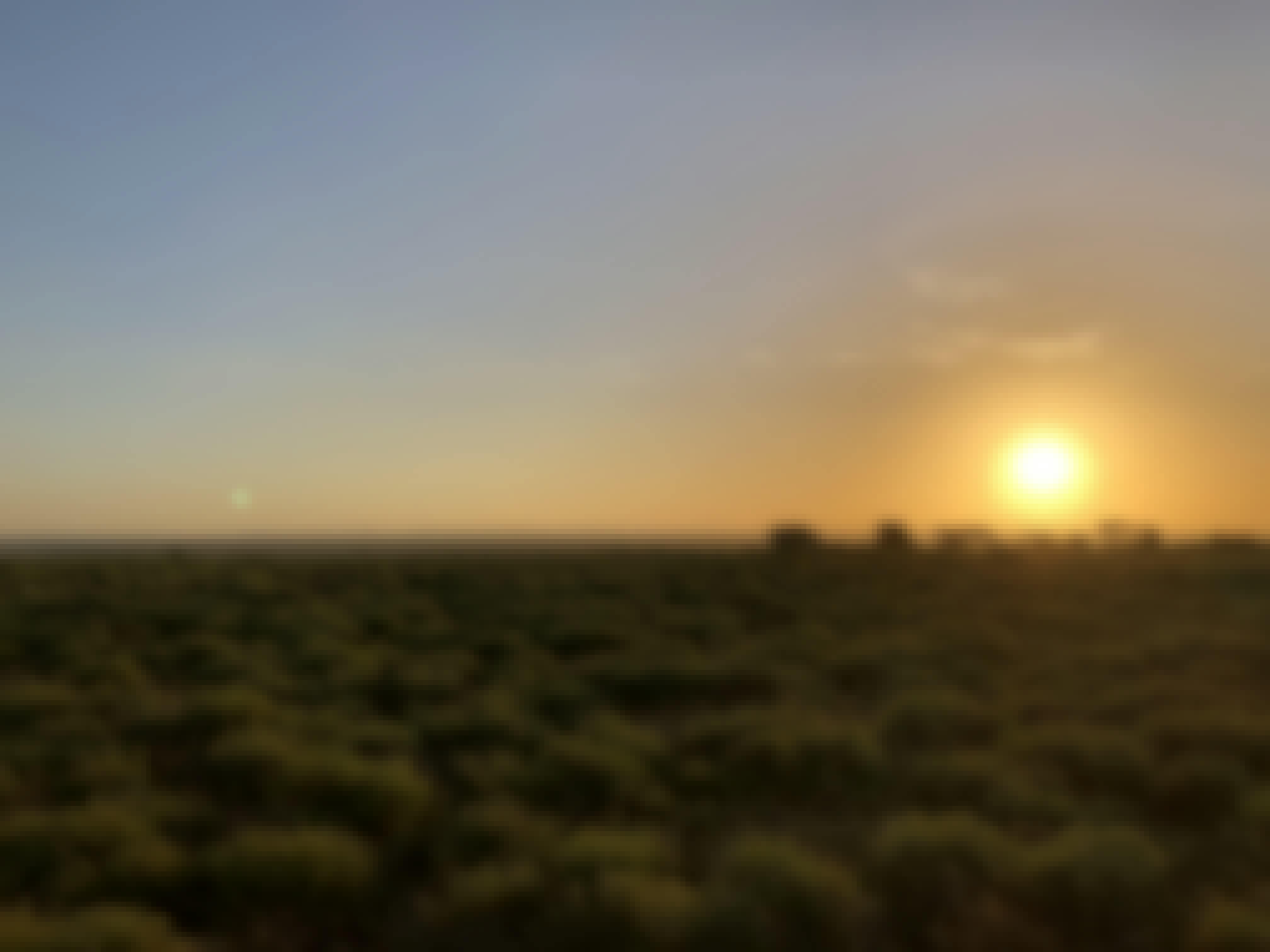 Kaden Kartsone: Sunset