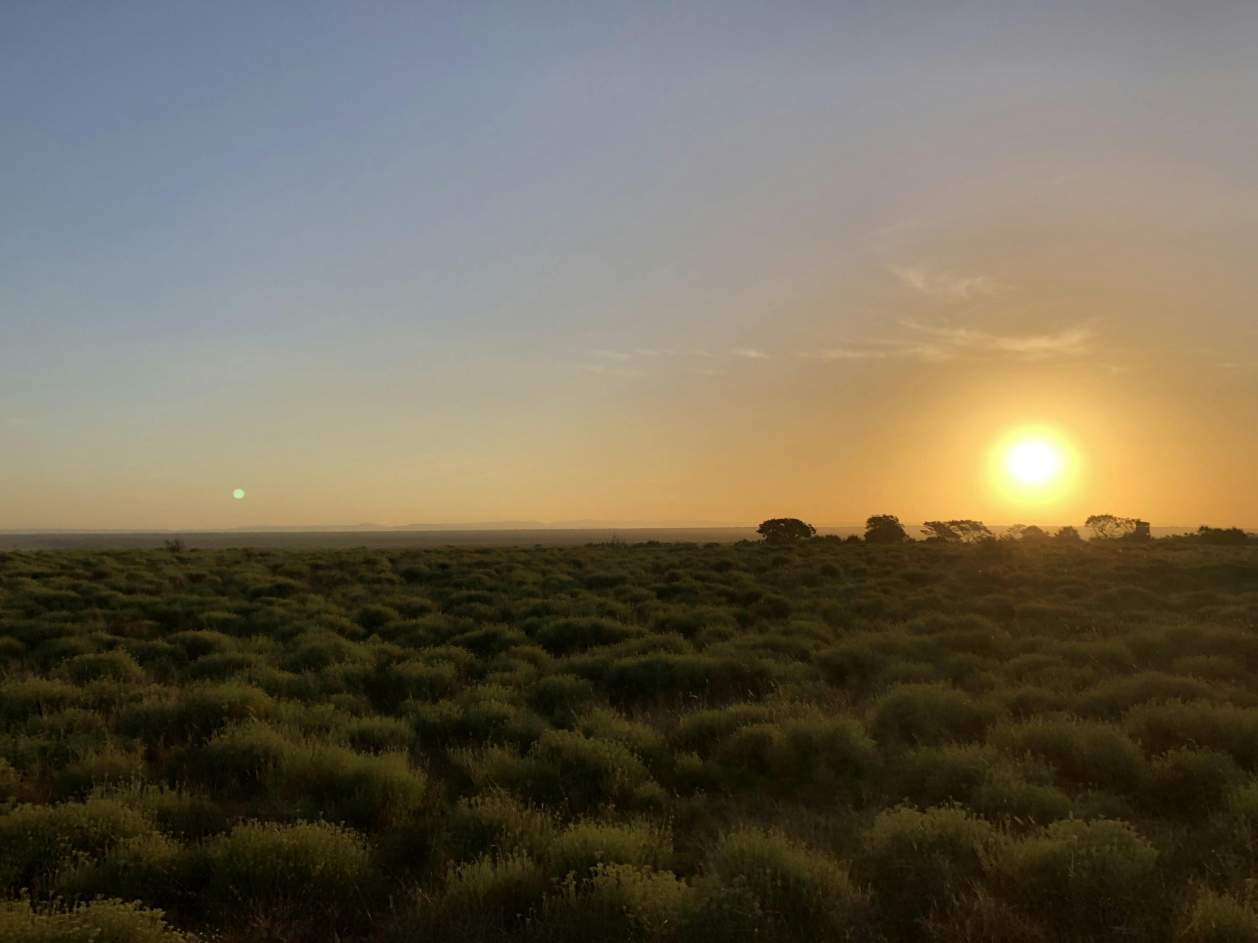 Kaden Kartsone: Sunset