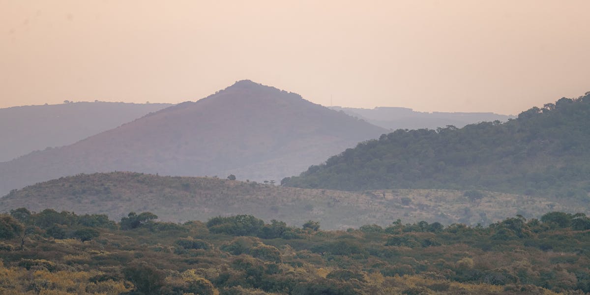 Landscape