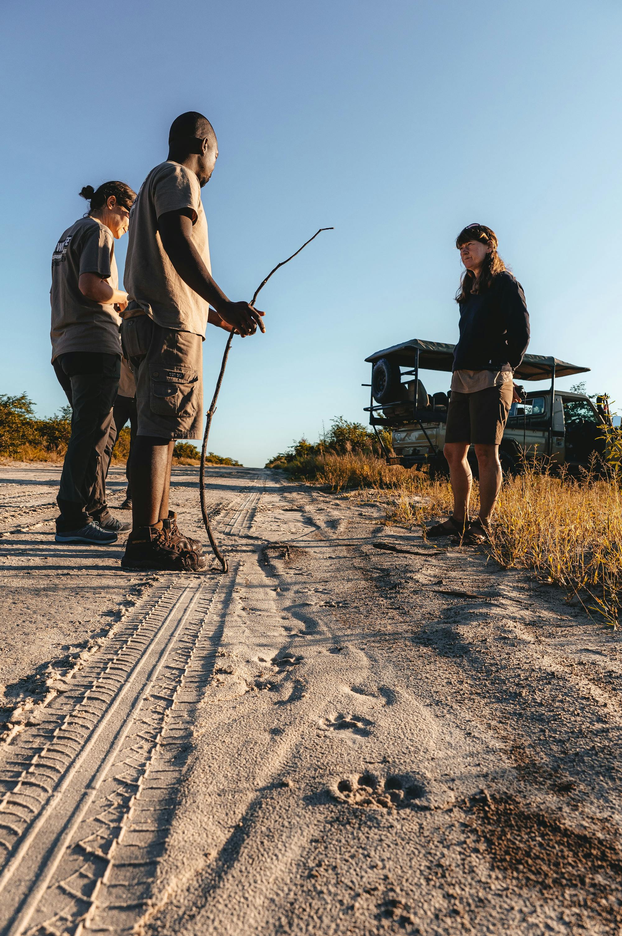 ACE group of volunteers learning how to spot tracks