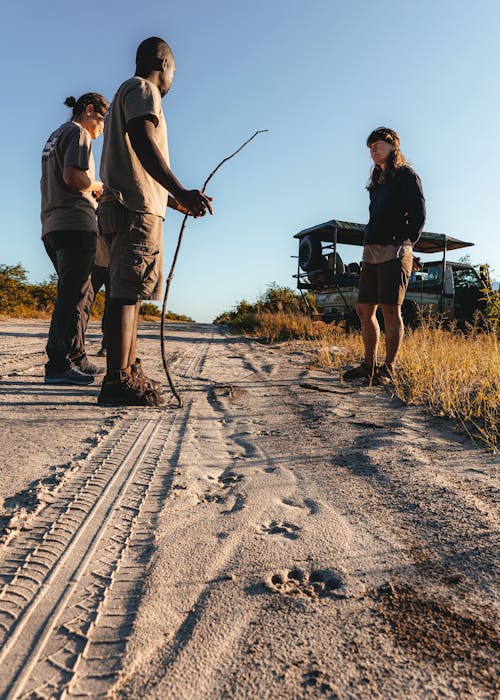 Conservation research volunteer - Wildlife Research and Management - ACE group of volunteers learning how to spot tracks
