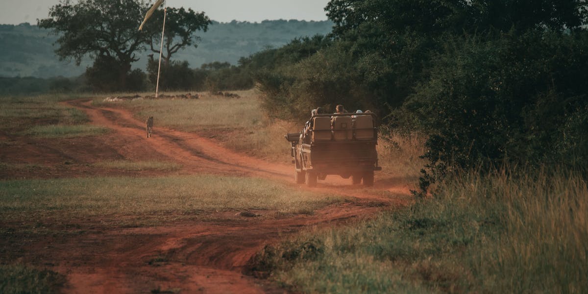 ACE vehicle slowly following a cheetah in the distance