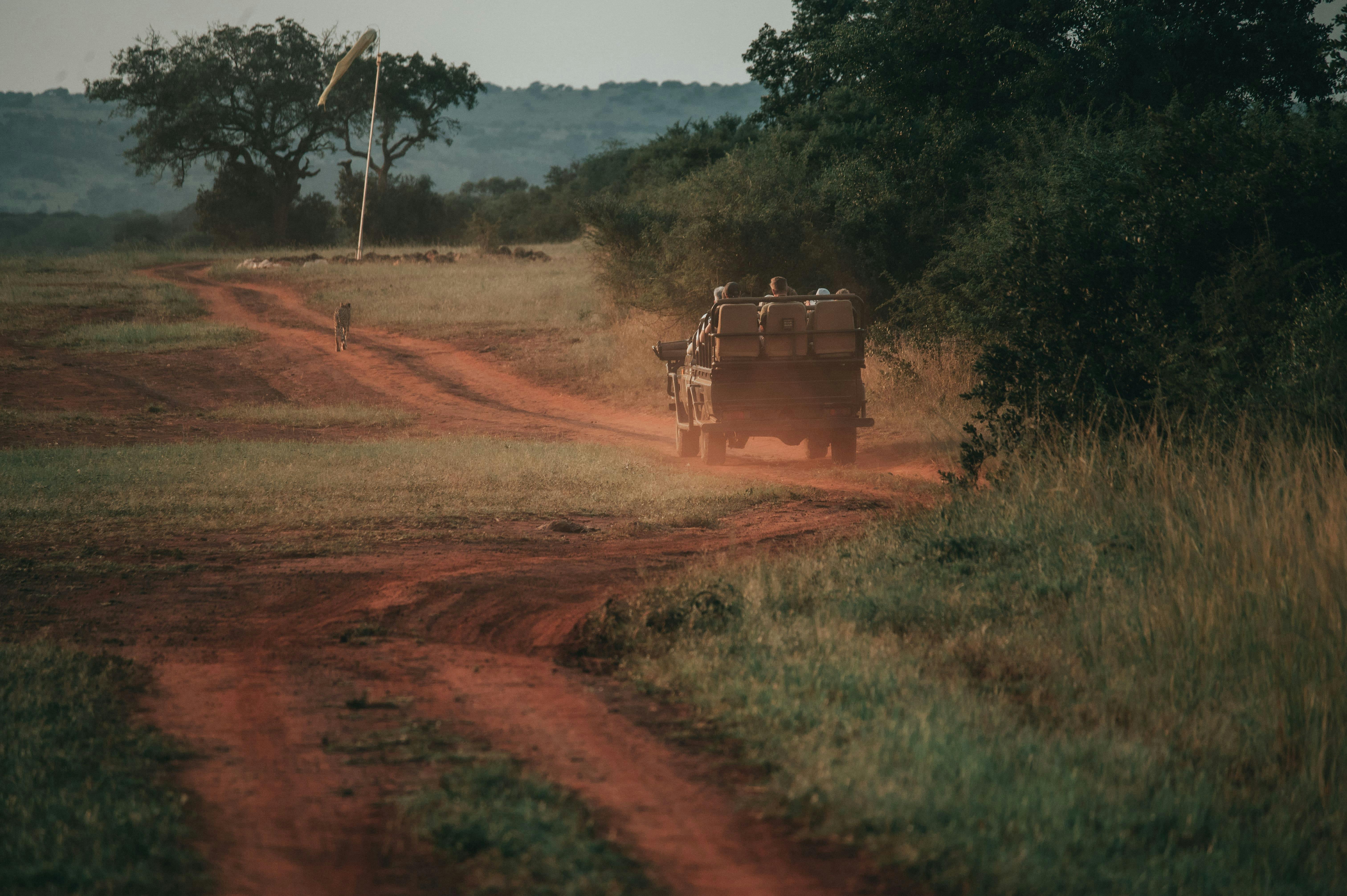 ACE vehicle slowly following a cheetah in the distance