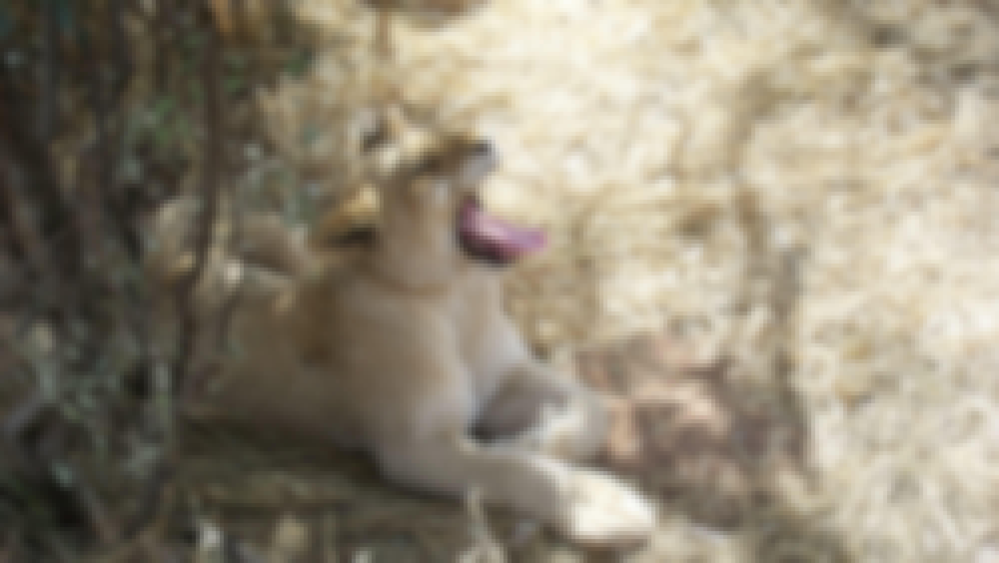 Close-up of a lion cub yawning